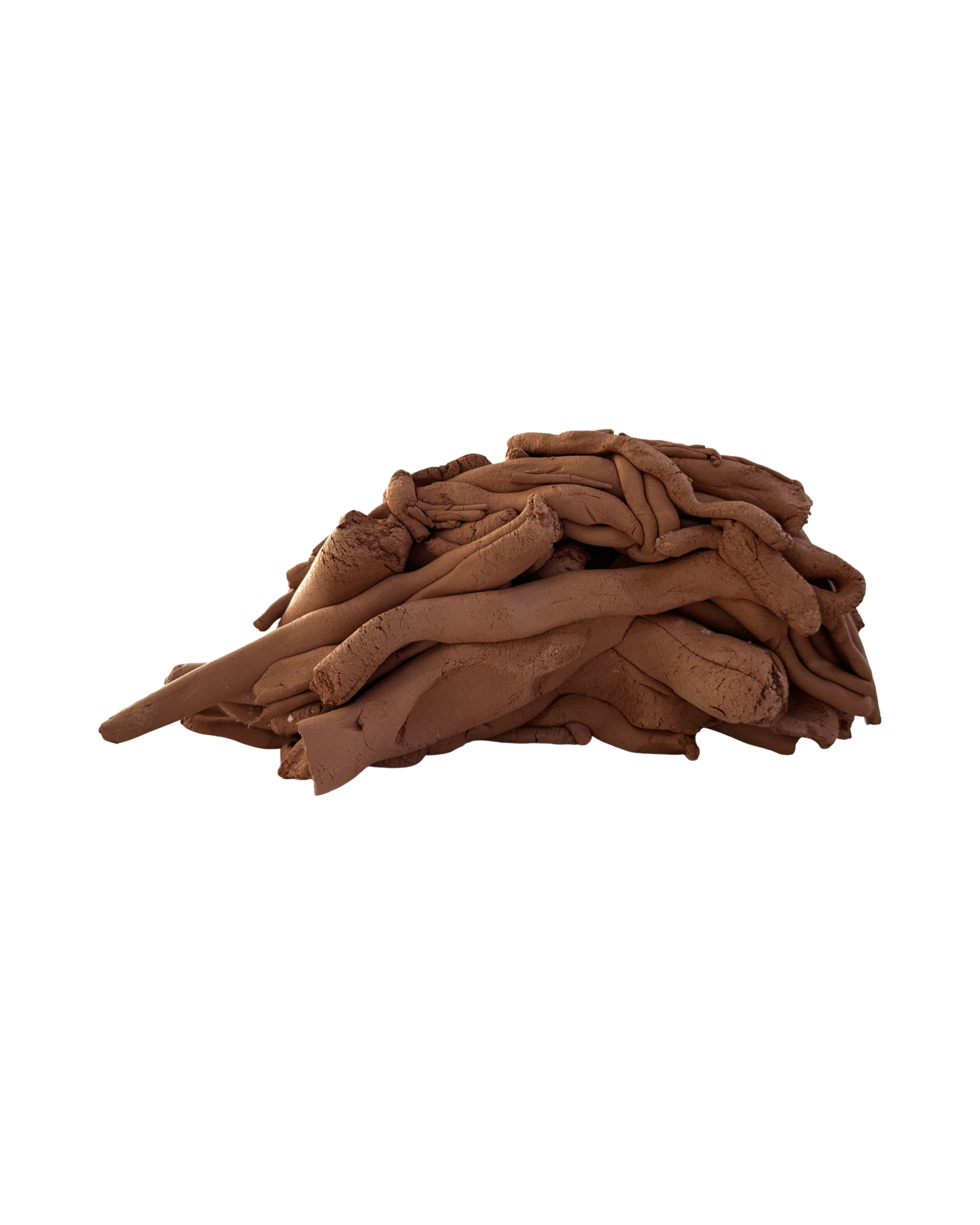 5C32A663-CDD3-4CA8-99AB-9AEE8F9FAE78.png