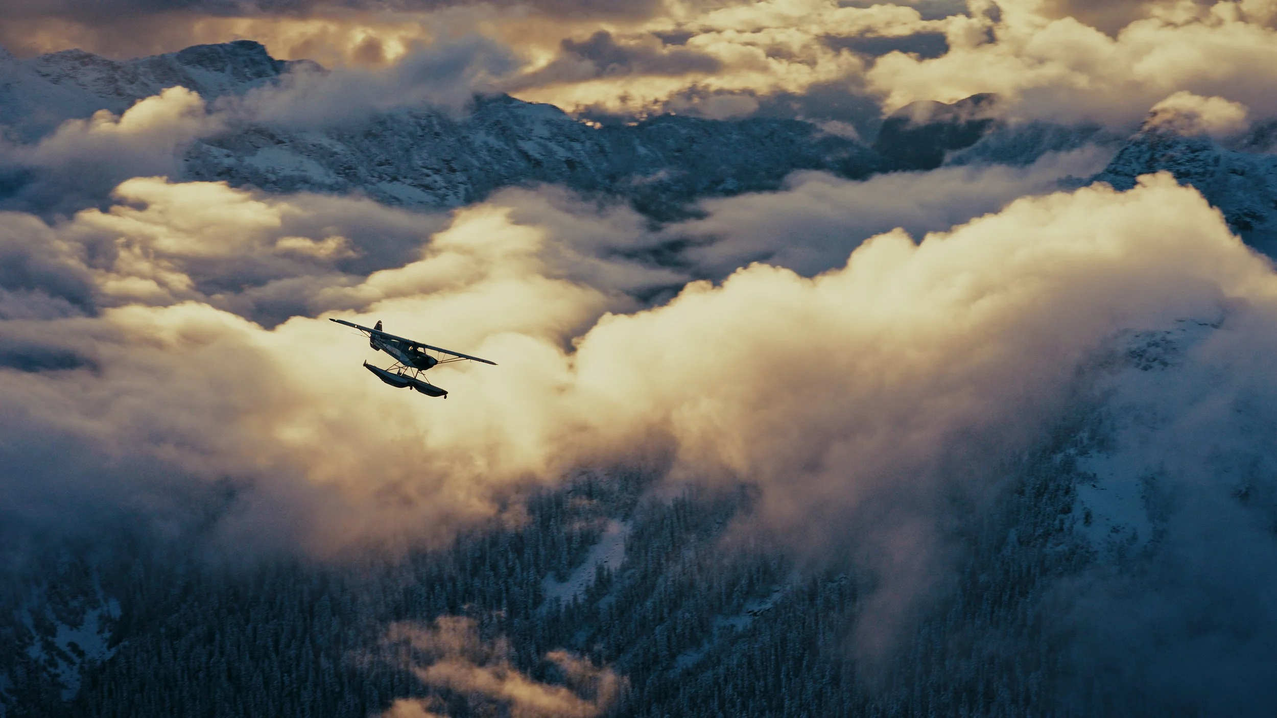 Timeline 2_01_02_25_14.jpg