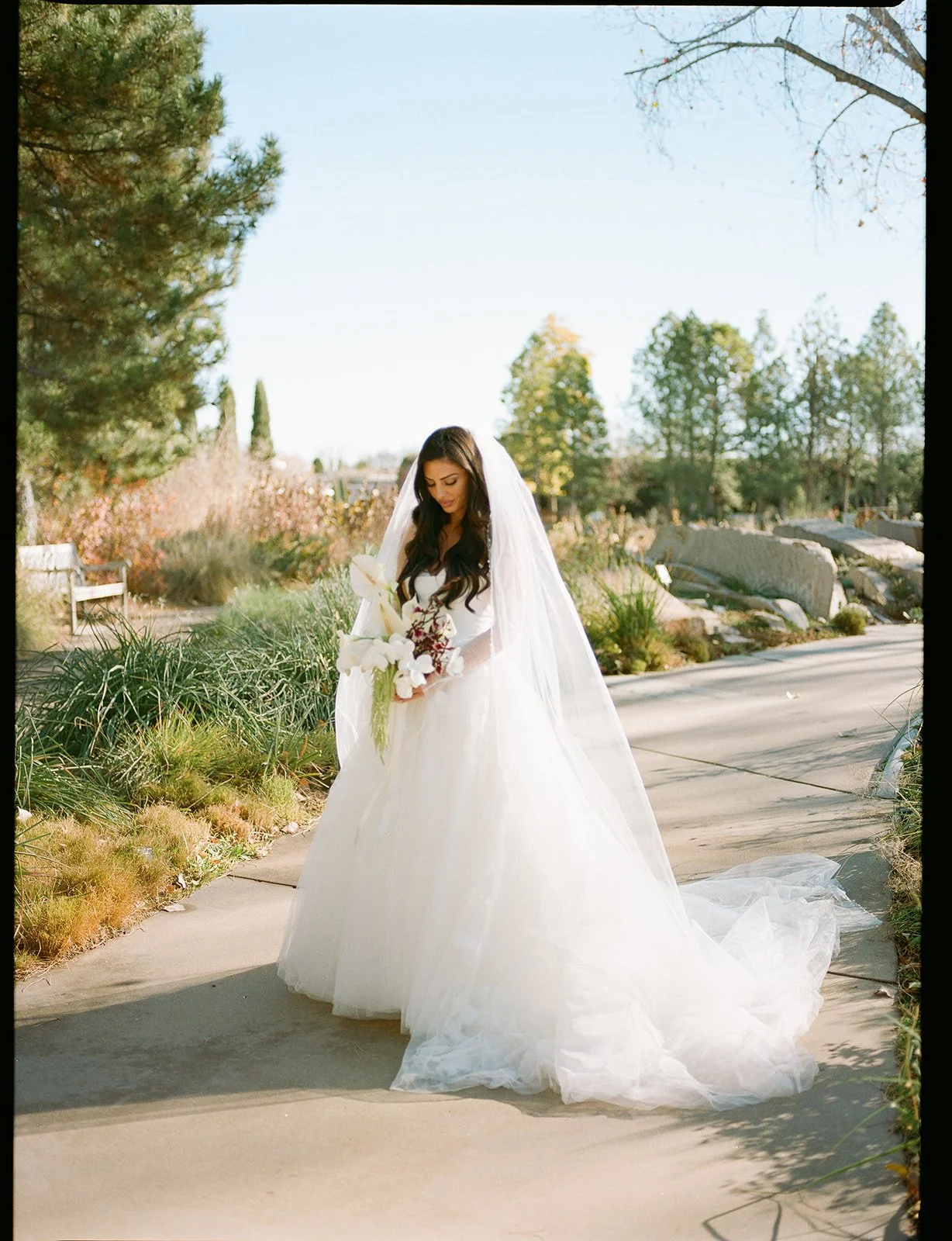 AshlynDerrickWeddingFilm-150_websize.jpg