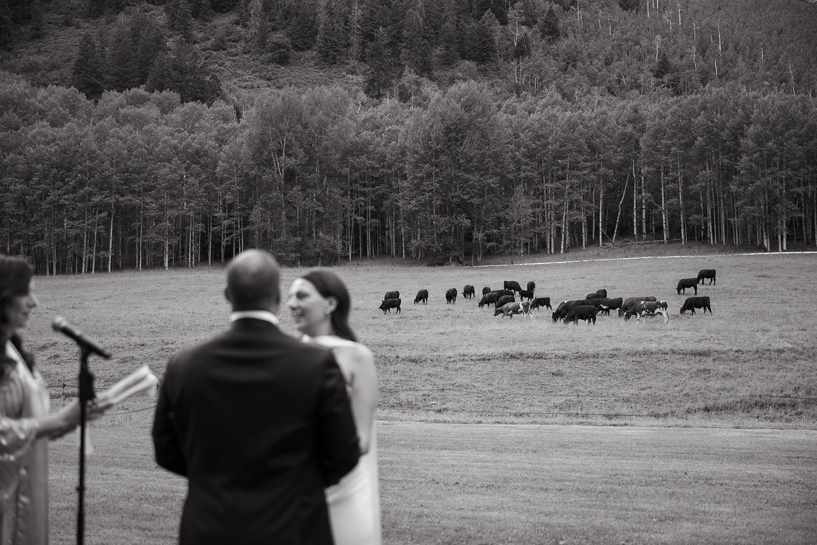 sydney-louis-aspen-wedding-preview-67.jpg