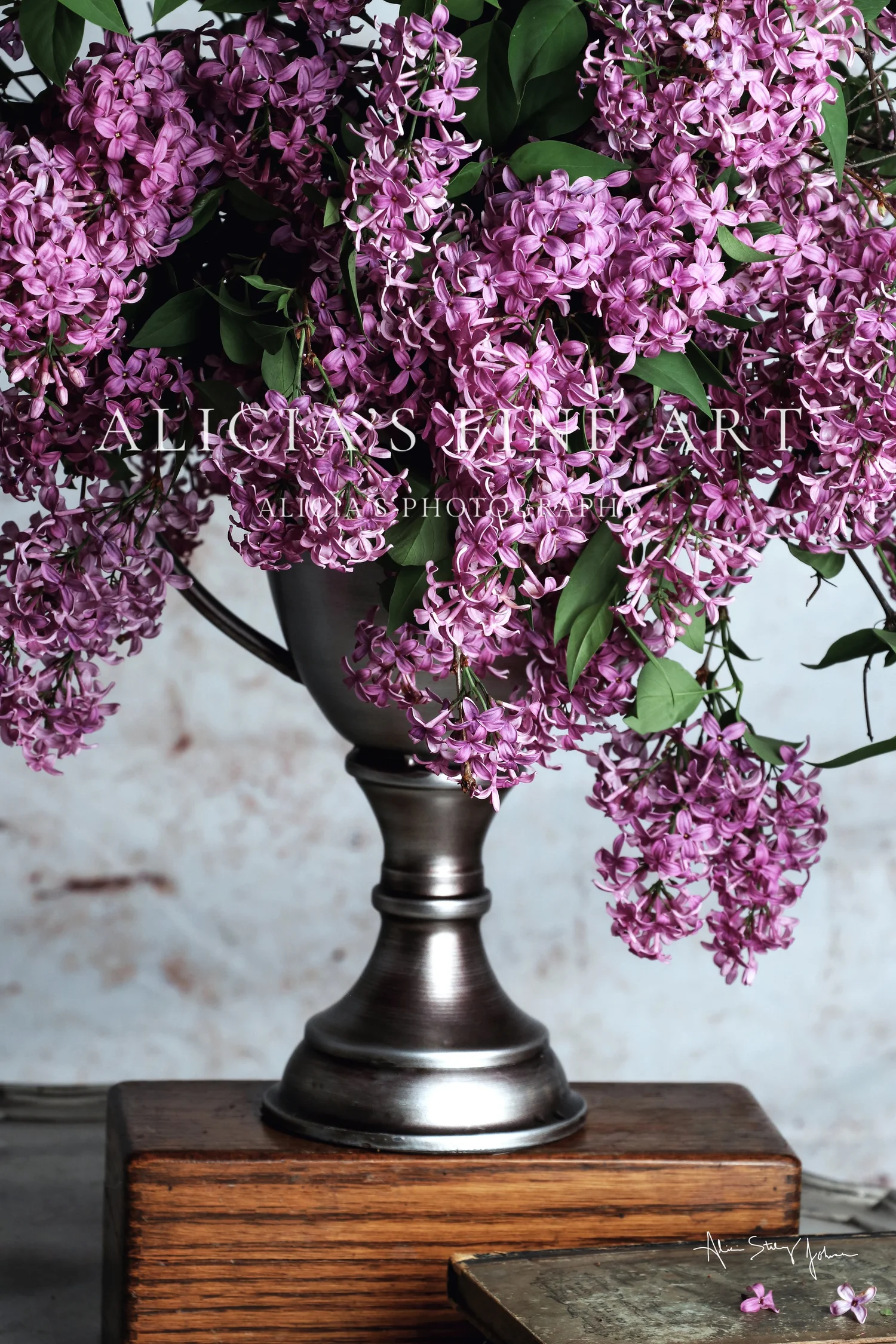 Vintage Blooms- Lilacs Fine Art flower Photography.jpg