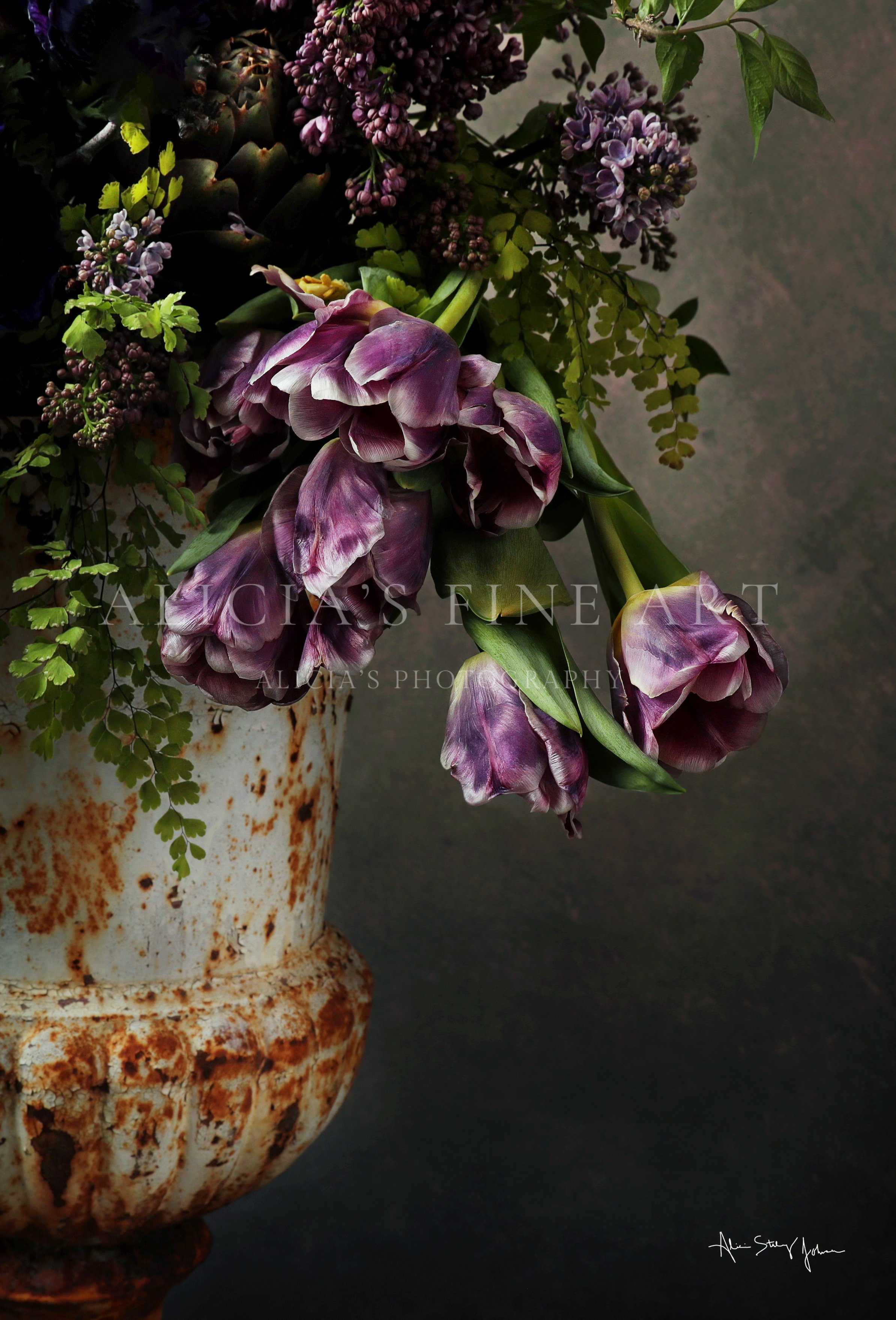 Bloom Collection- Whispers of Spring Flower Floral Fine art Photography Tulips.jpg