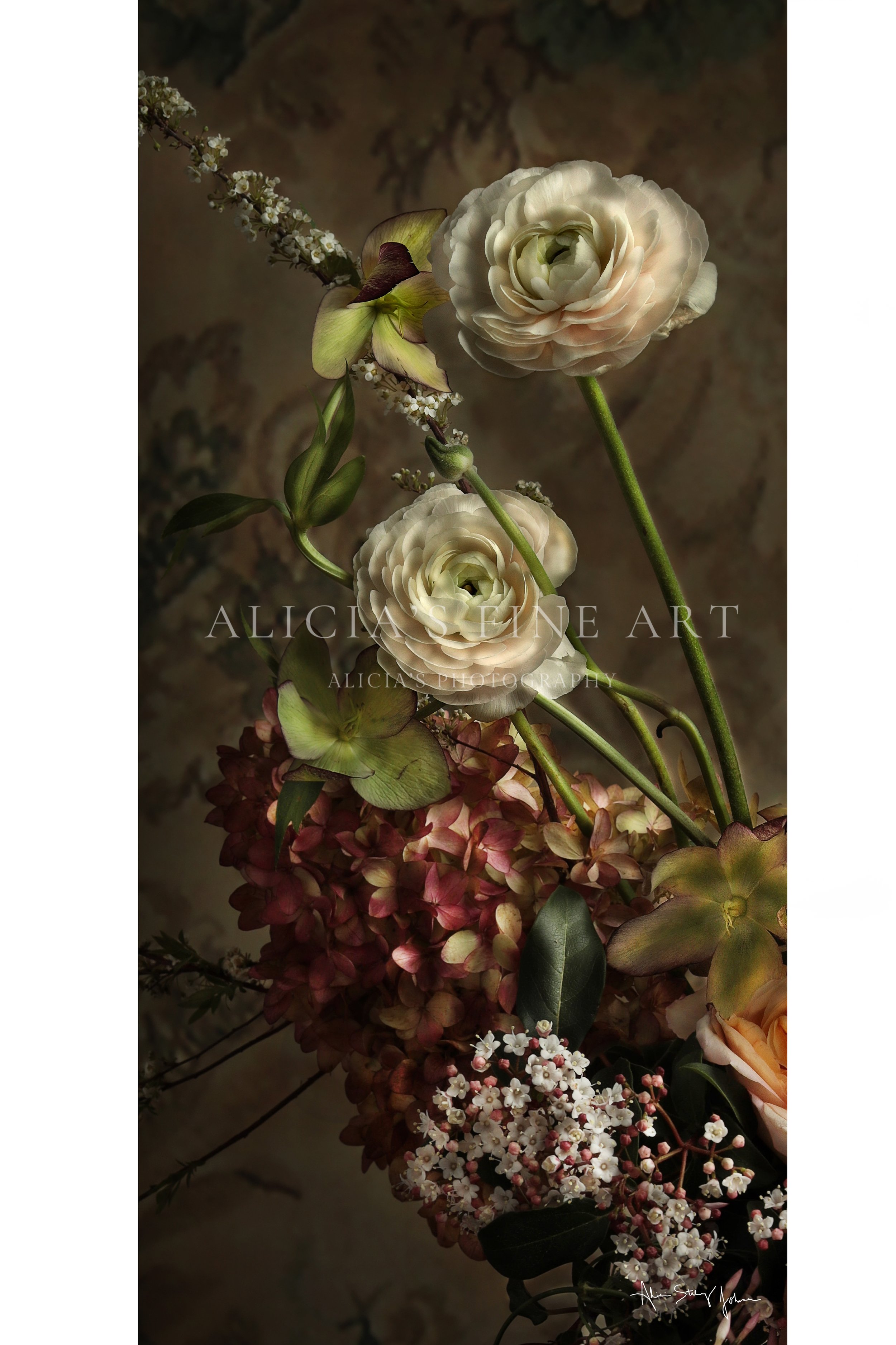 Bloom Collection- Where Dreams Coincide Floral Flower Fine Art Print.jpg