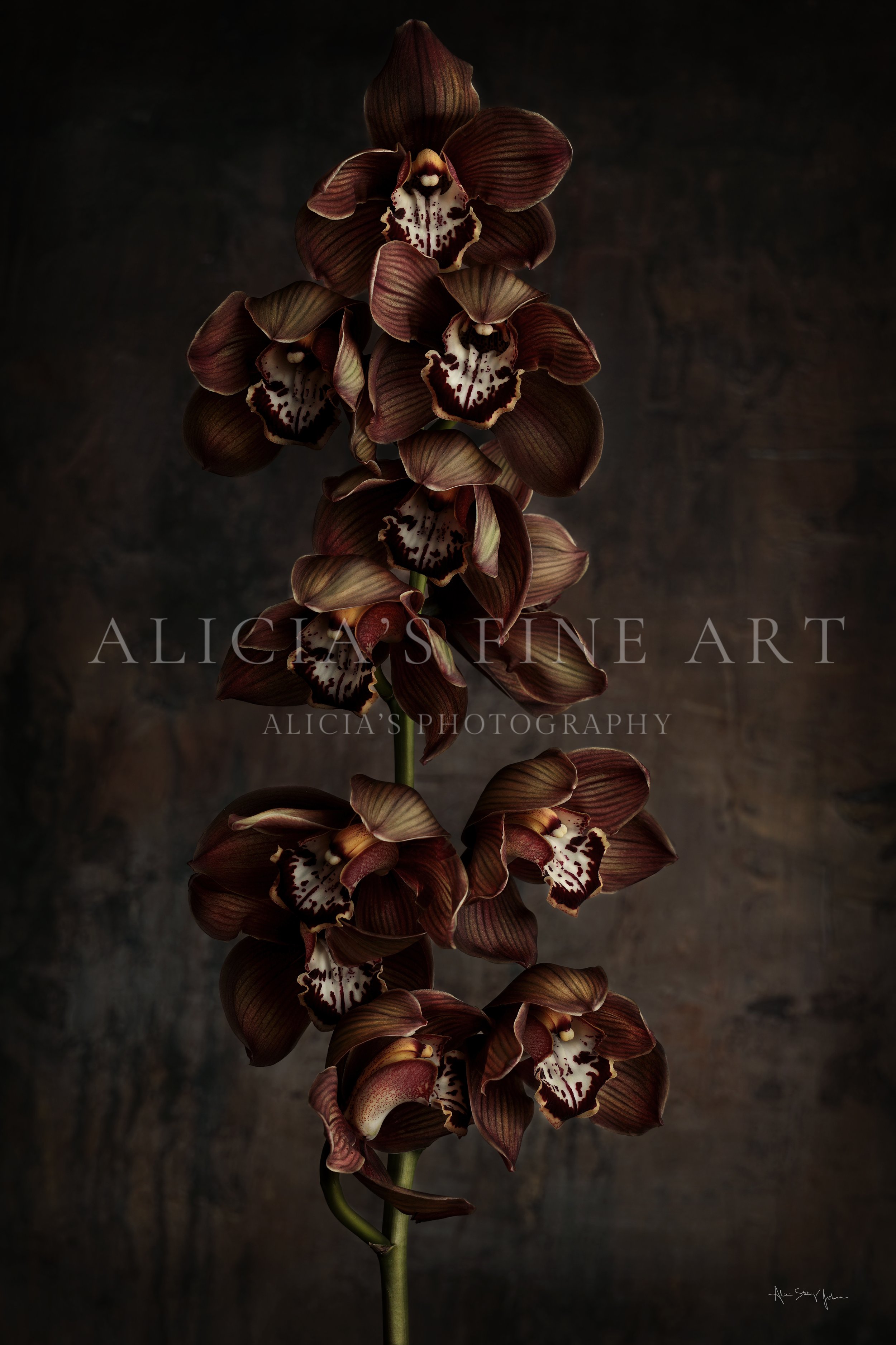 Orchids and Moonlight.jpg