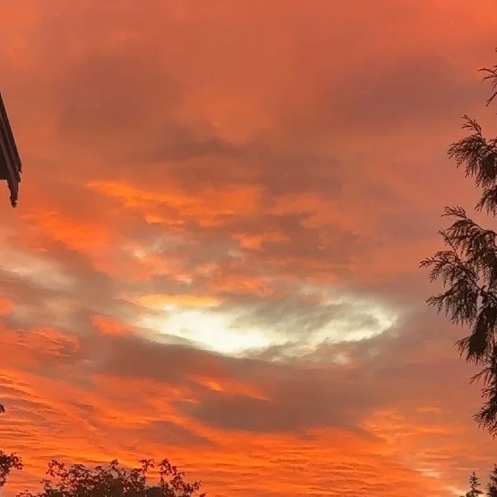 October is leaving us, and so are the leaves. We&rsquo;re not going anywhere though, highlights of the last 30 before we hit the next 30!

1. Fiery Seattle skies ❤️&zwj;🔥
2. @phantoms release &lsquo;Moonflower&rsquo; 🌑🌹
3. @kasbomusic + @edapollo 