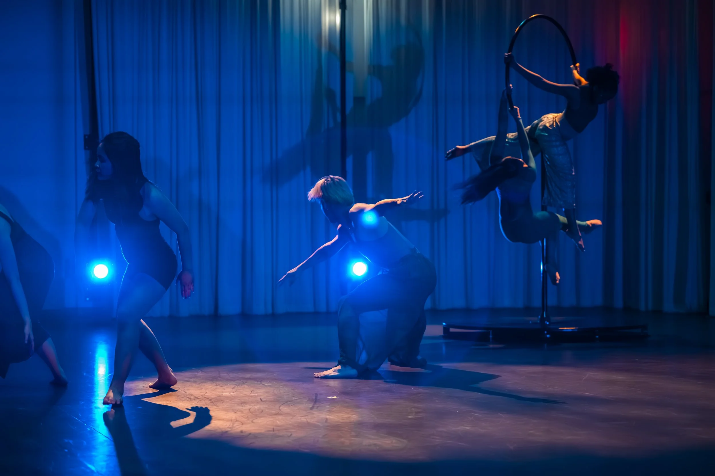 Fish Sing | Pez Canta