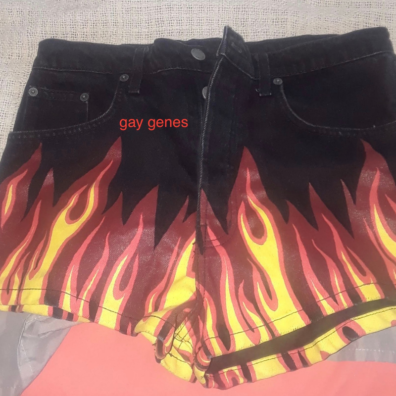 Gay Genes