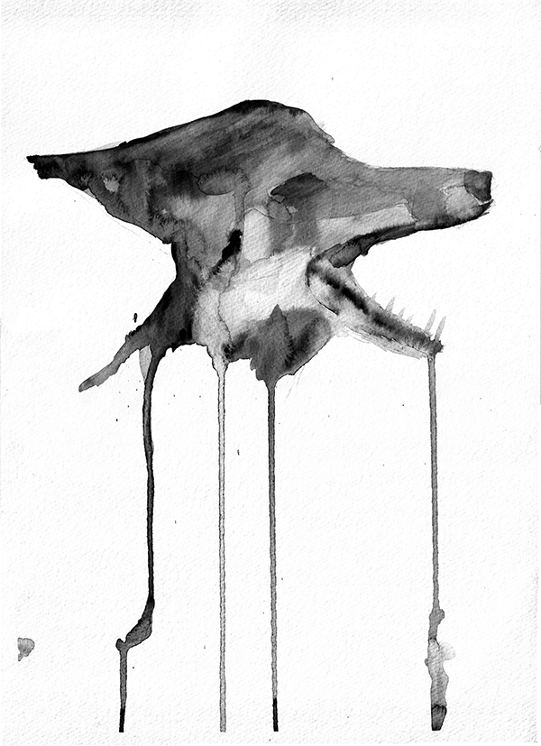 Florian-Ayala Fauna
