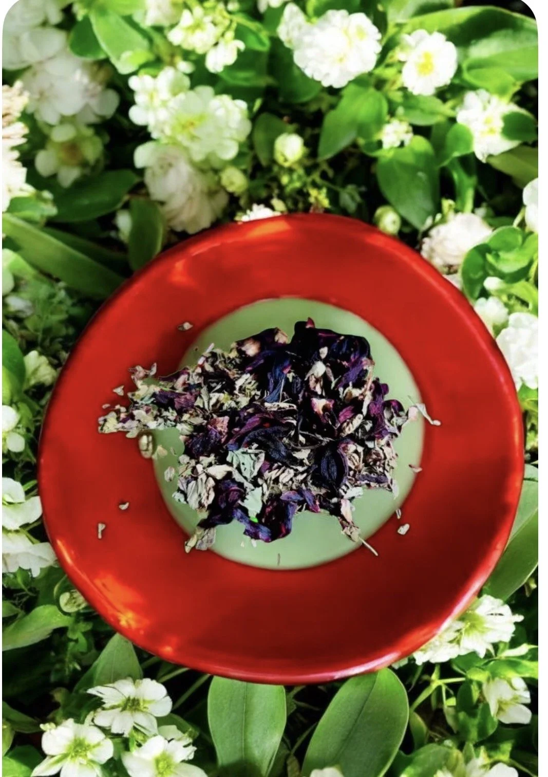 Acenath's  Spicy Hibiscus