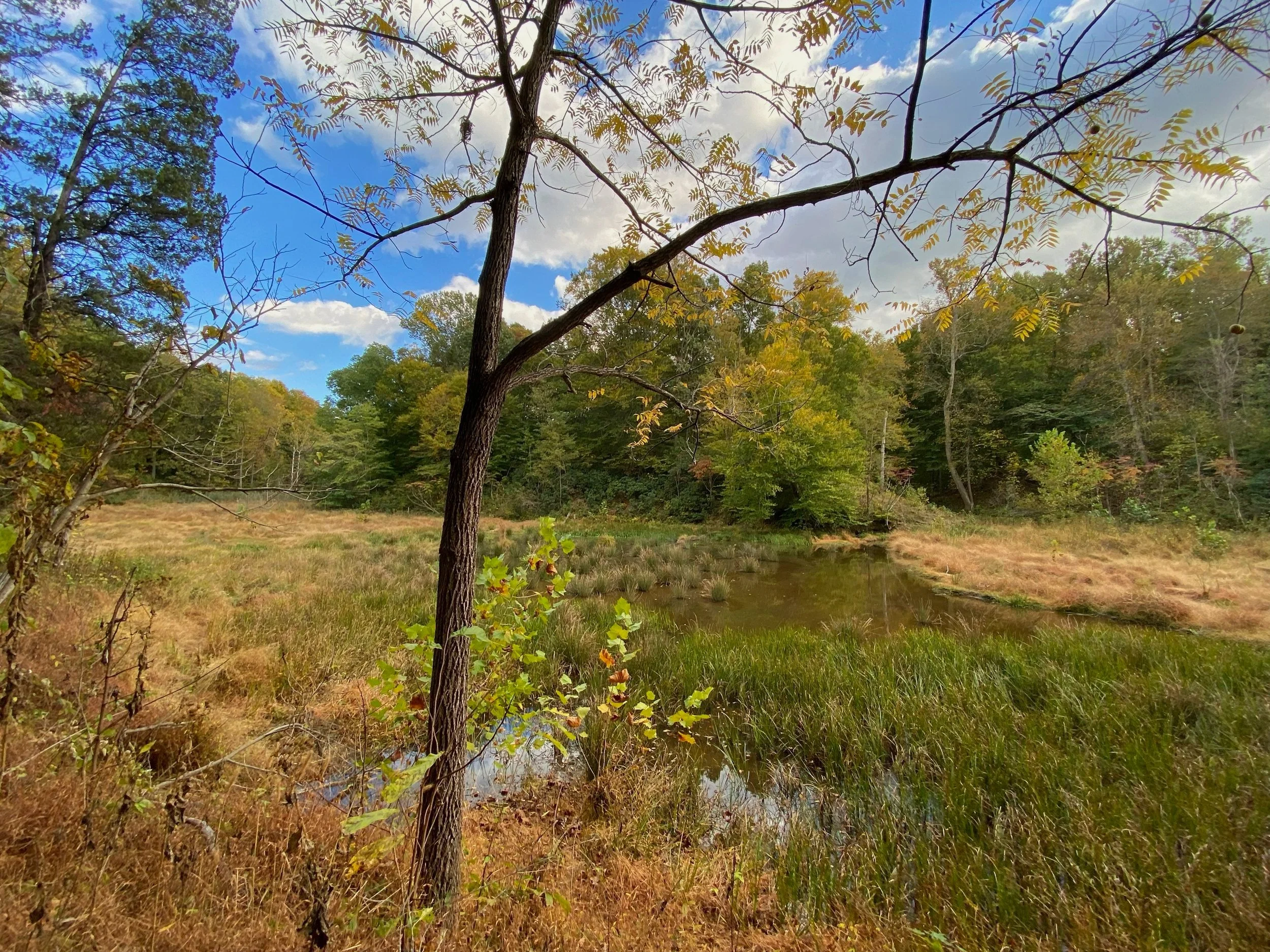 Mallows Bay–Potomac River National Marine Sanctuary