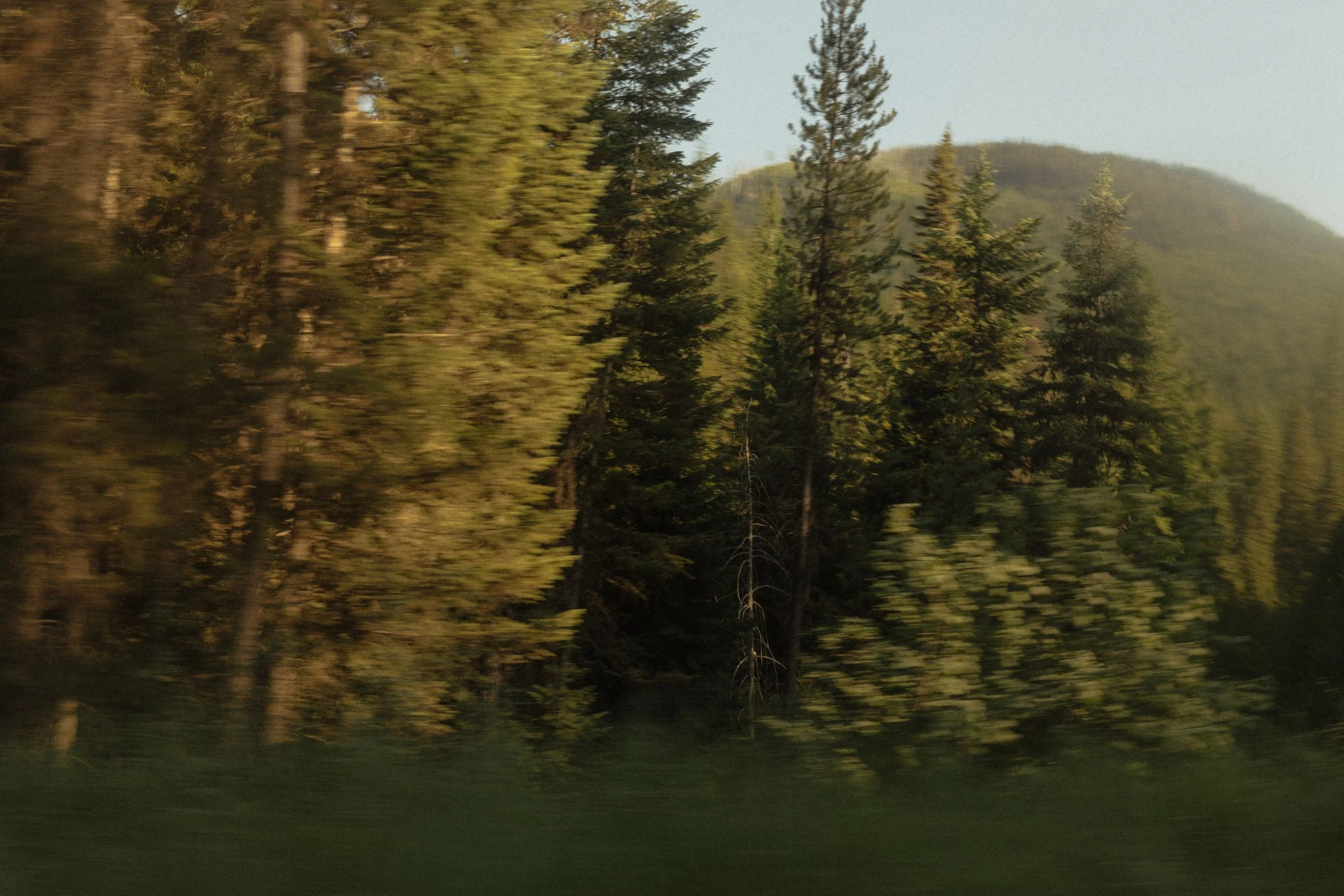 minha + lander-733-2.jpg