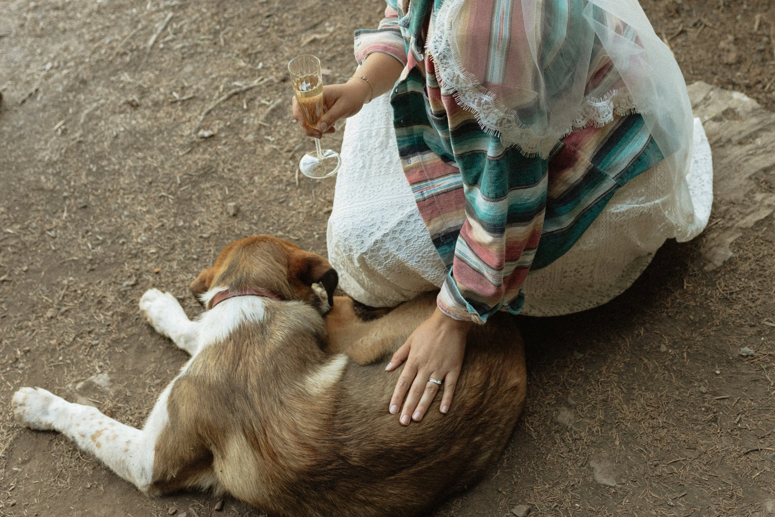 minha + lander-527-2.jpg