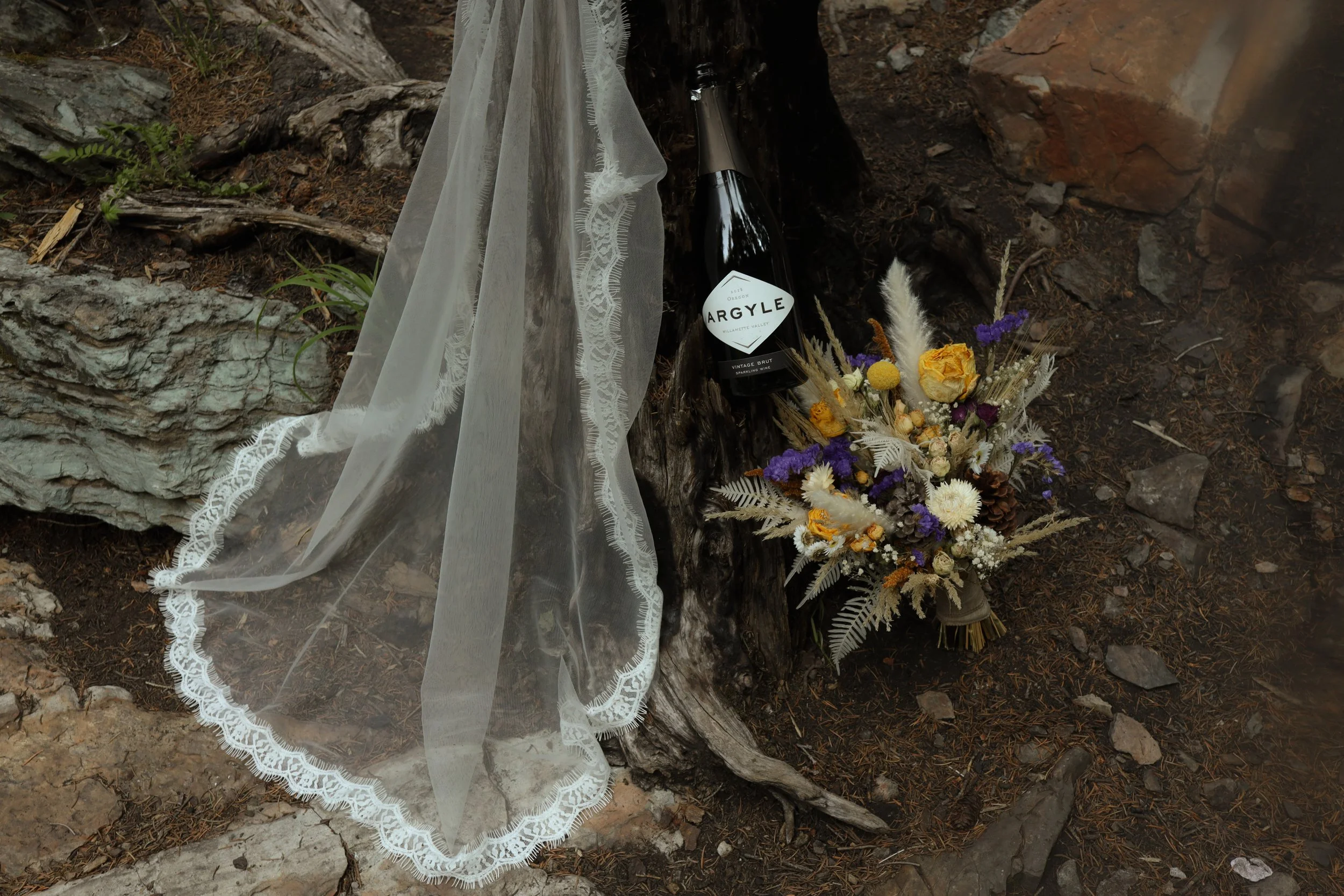 alpine lake elopement
