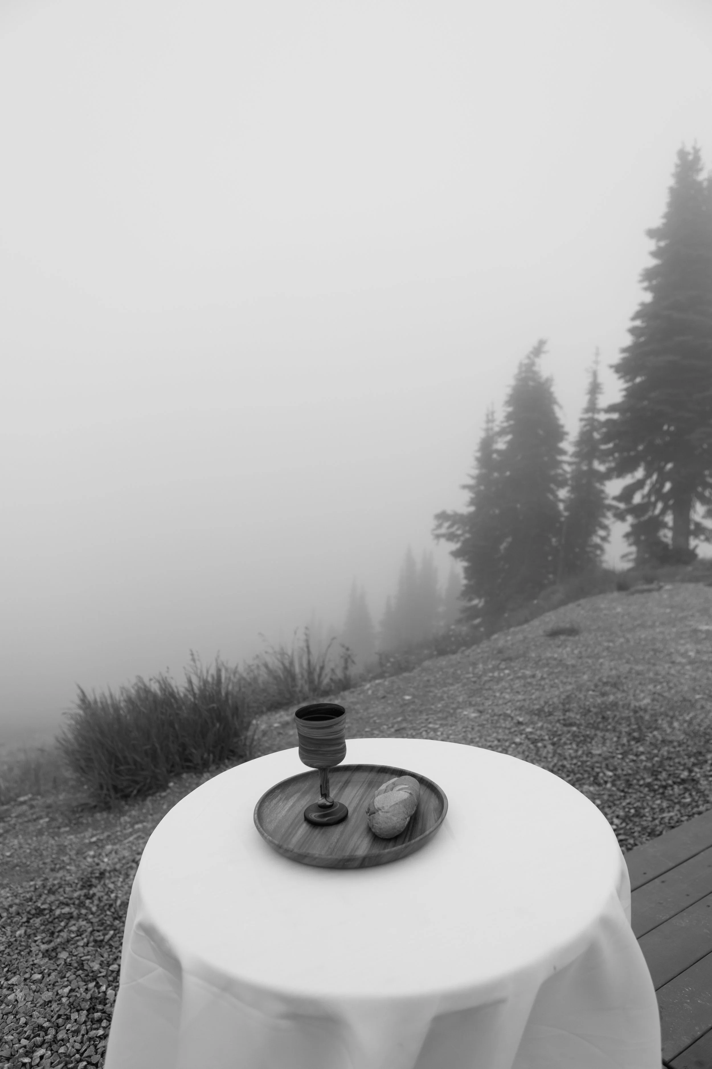 262A9915-2.jpg