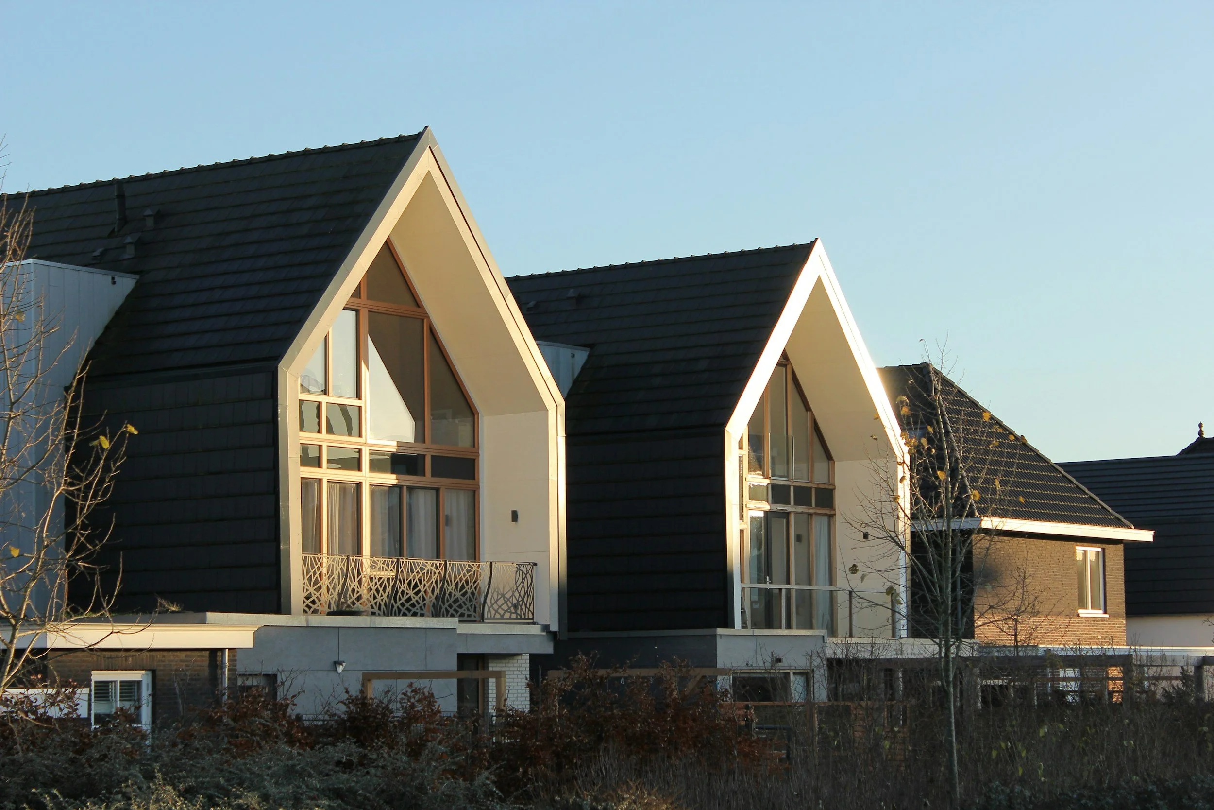 Modern houses with dark sloped roofs, large windows, and balconies, set against a clear sky, with some trees in the foreground.