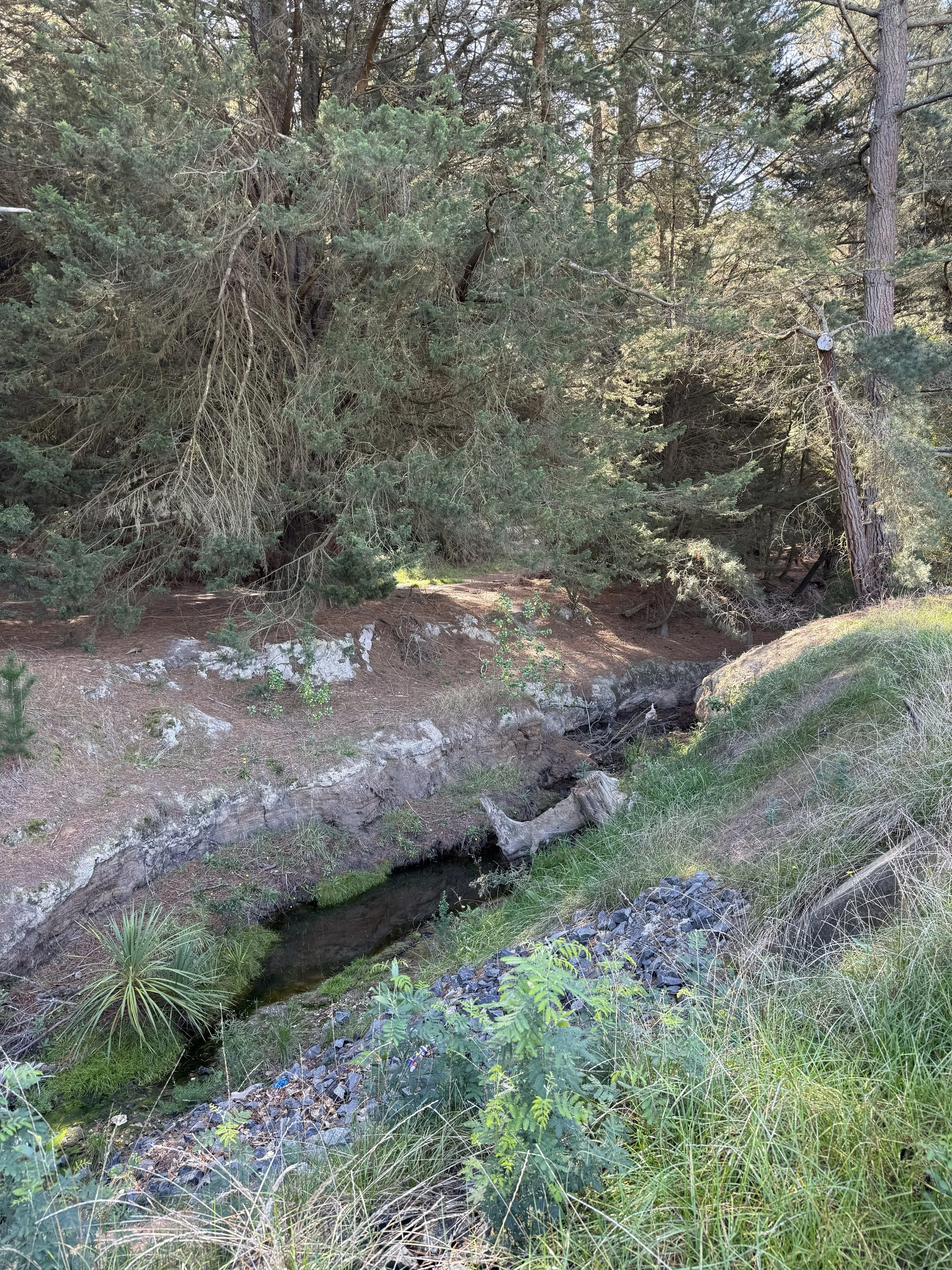 BANK EROSION: WHAT TO LOOK FOR, WHEN TO ACT, AND HOW TO AVOID THE EXPENSIVE FIX