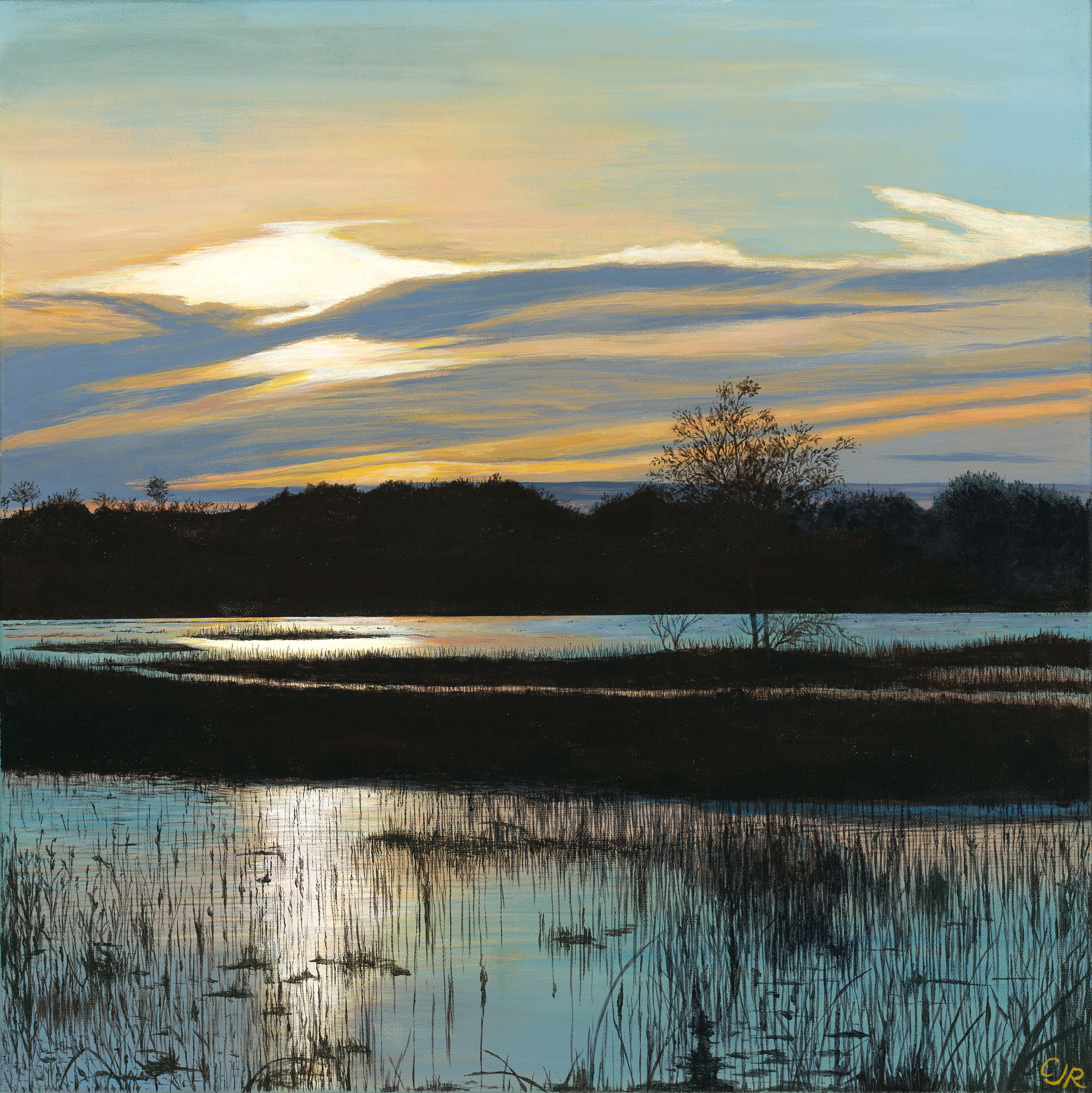 Cosumnes-Sunset.jpeg