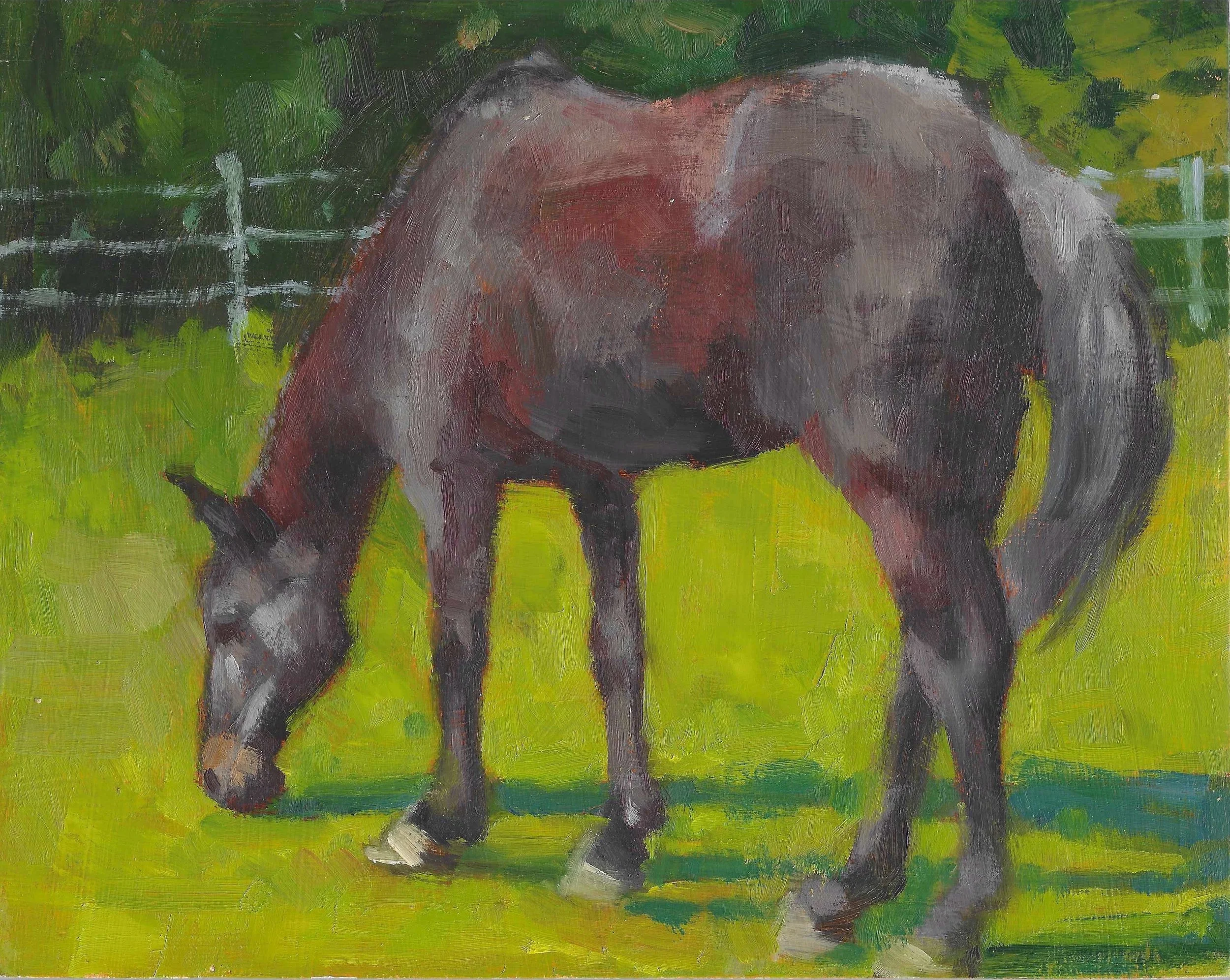 Horse Grazing 8x10 oils 2025.jpg