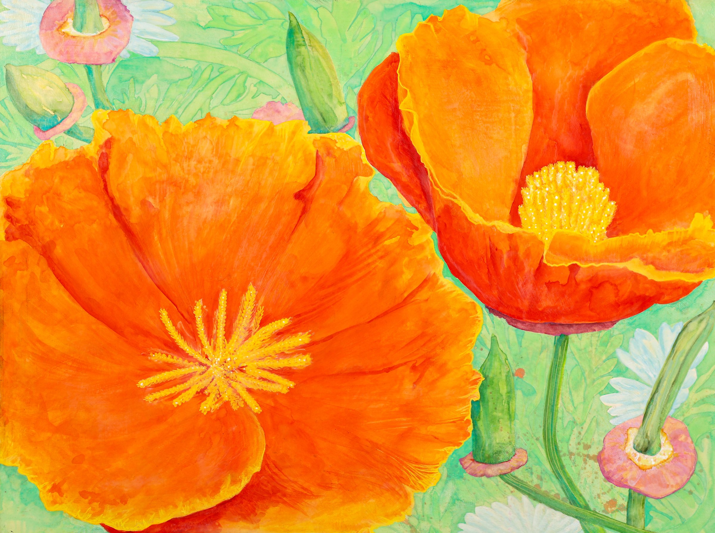 California Stars copyMED.jpg