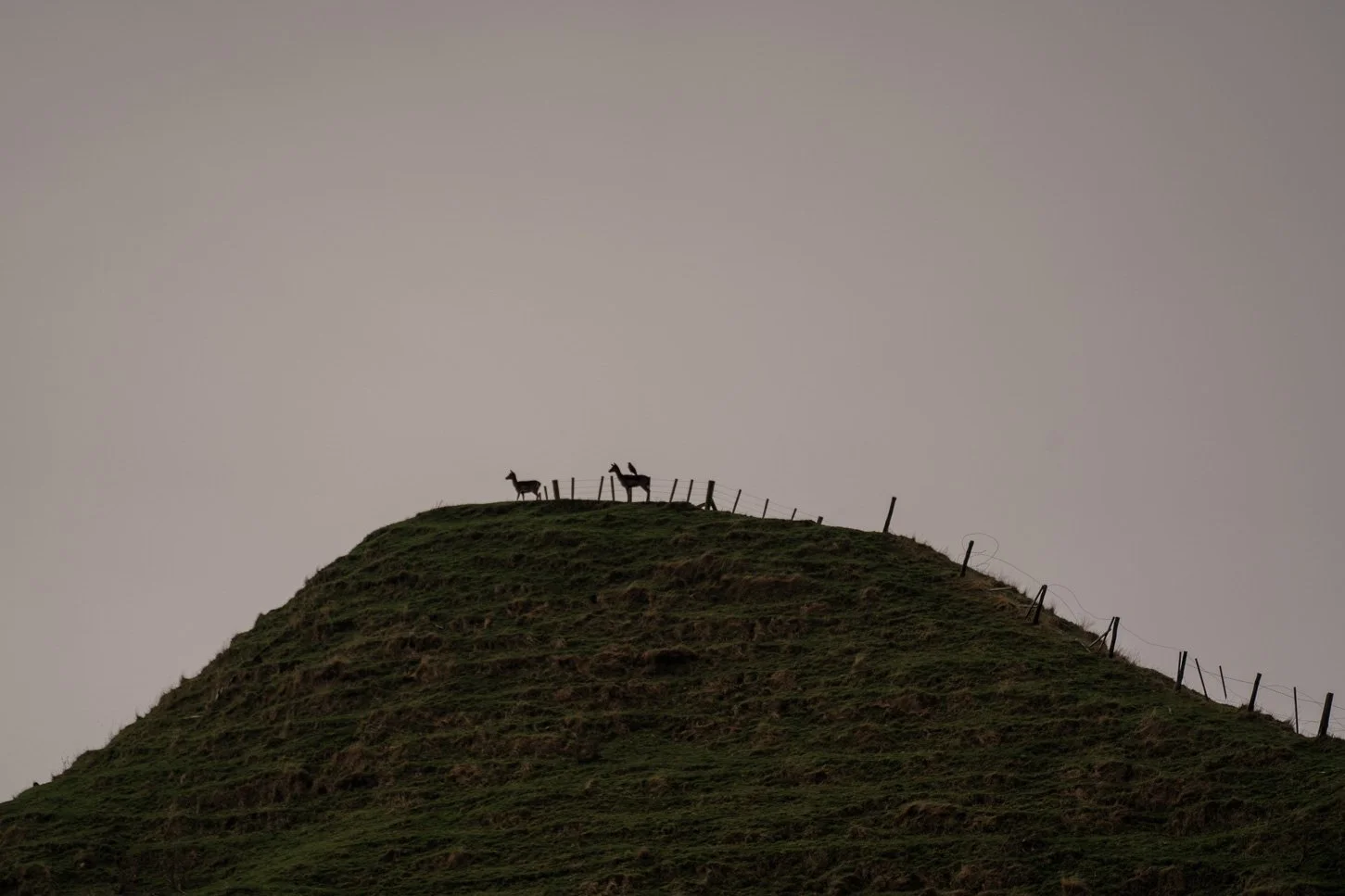 HuntForGood_19_7_25-03842.jpg