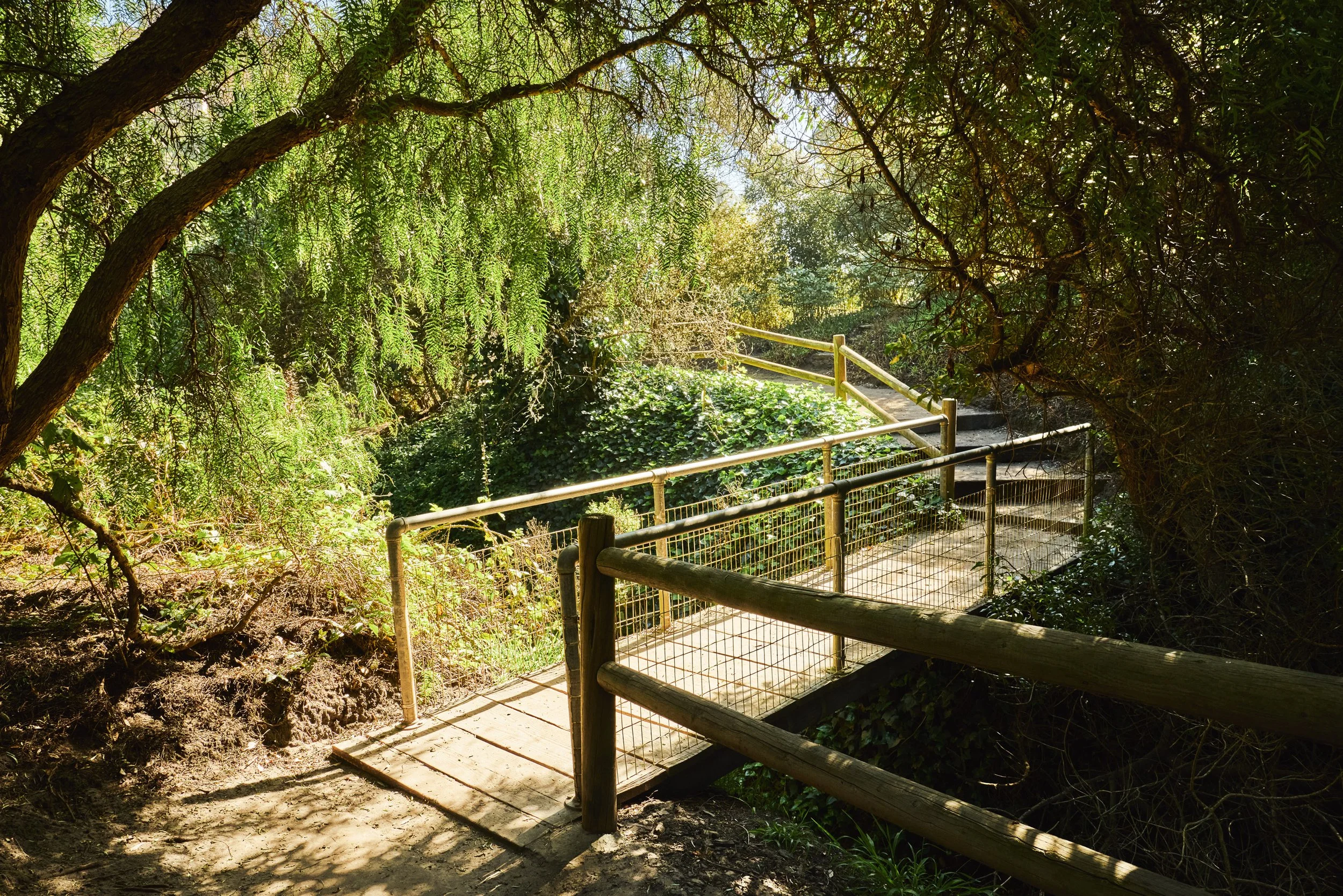 20260317_28830 Hampton Place_STEVEN_LIPPMAN_0204.jpg