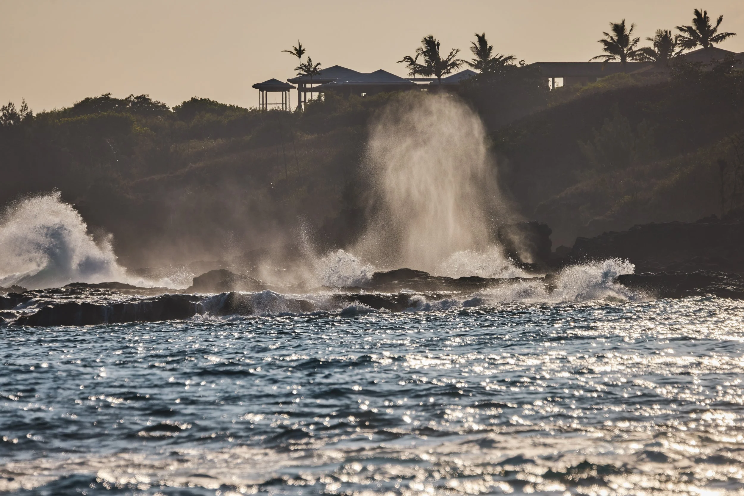 20260729_KUKUIULA_18_STEVEN_LIPPMAN_0393.jpg