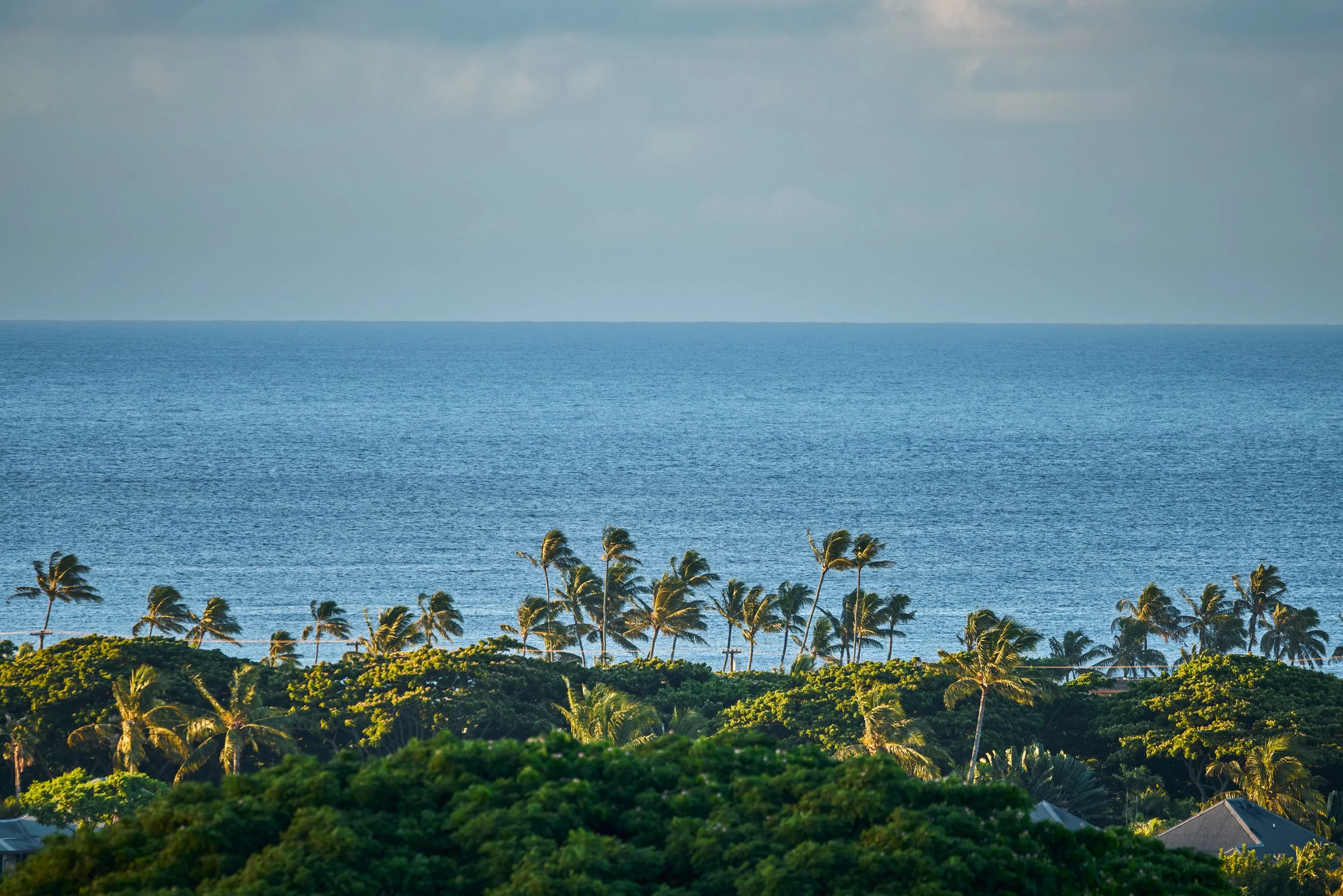 20260729_KUKUIULA_18_STEVEN_LIPPMAN_0771.jpg