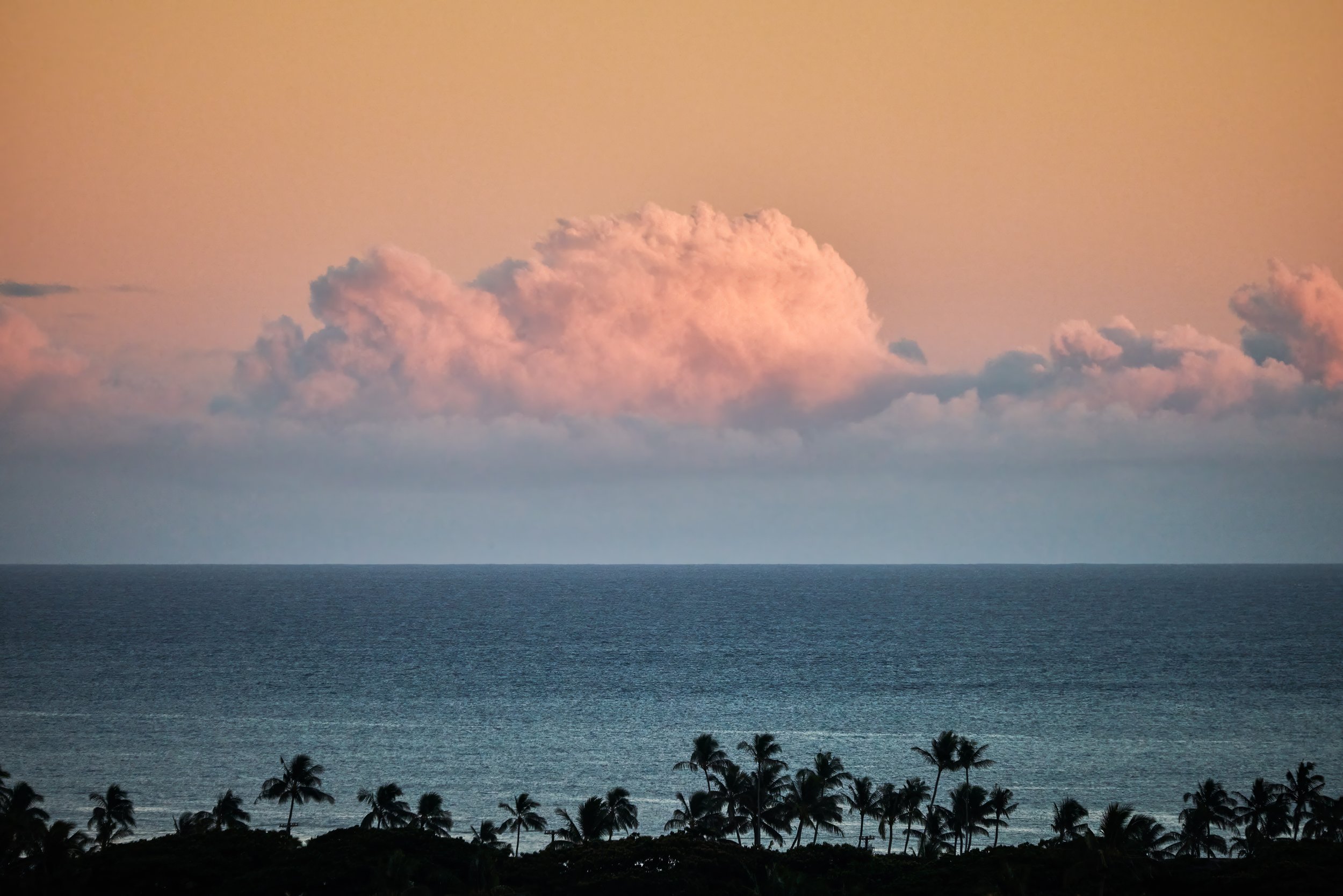 20260729_KUKUIULA_18_STEVEN_LIPPMAN_0665.jpg