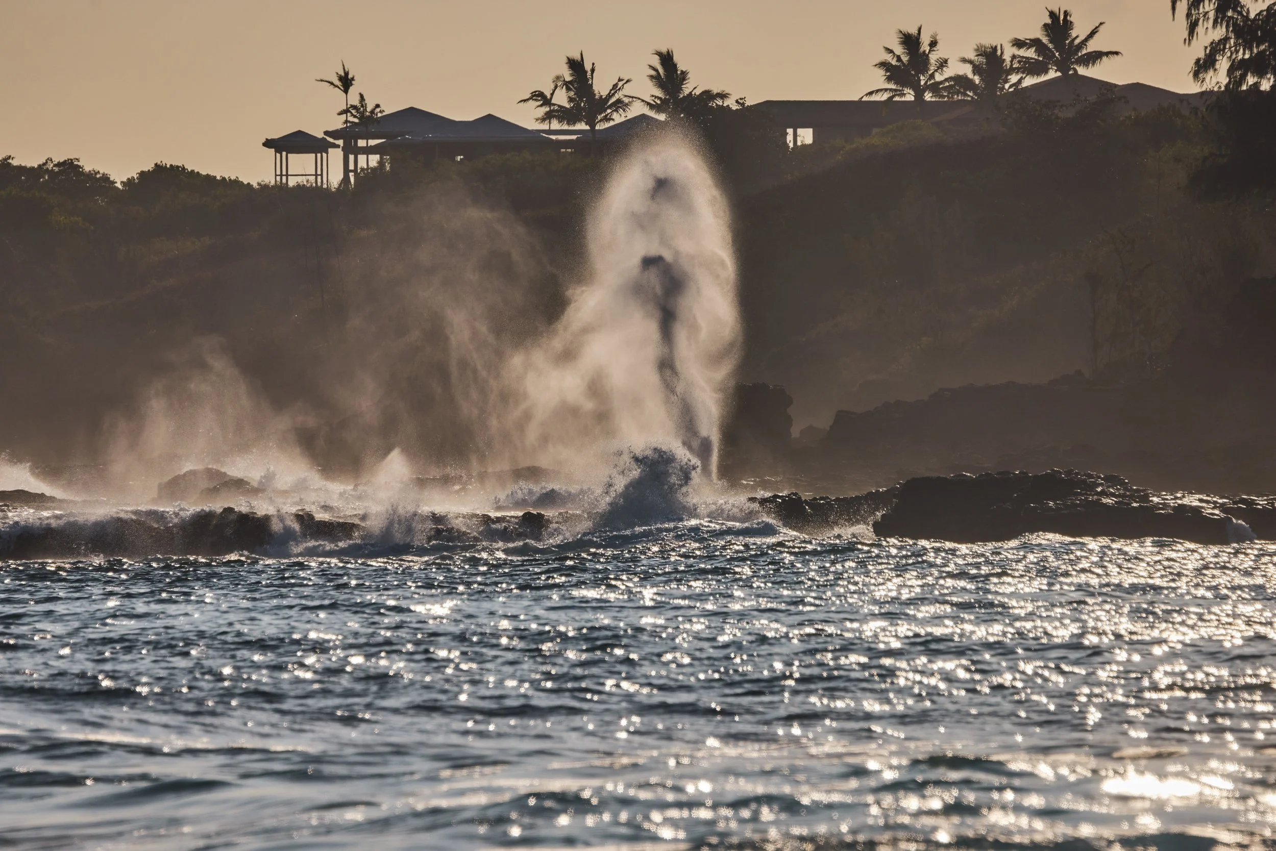 20260729_KUKUIULA_18_STEVEN_LIPPMAN_0551.jpg