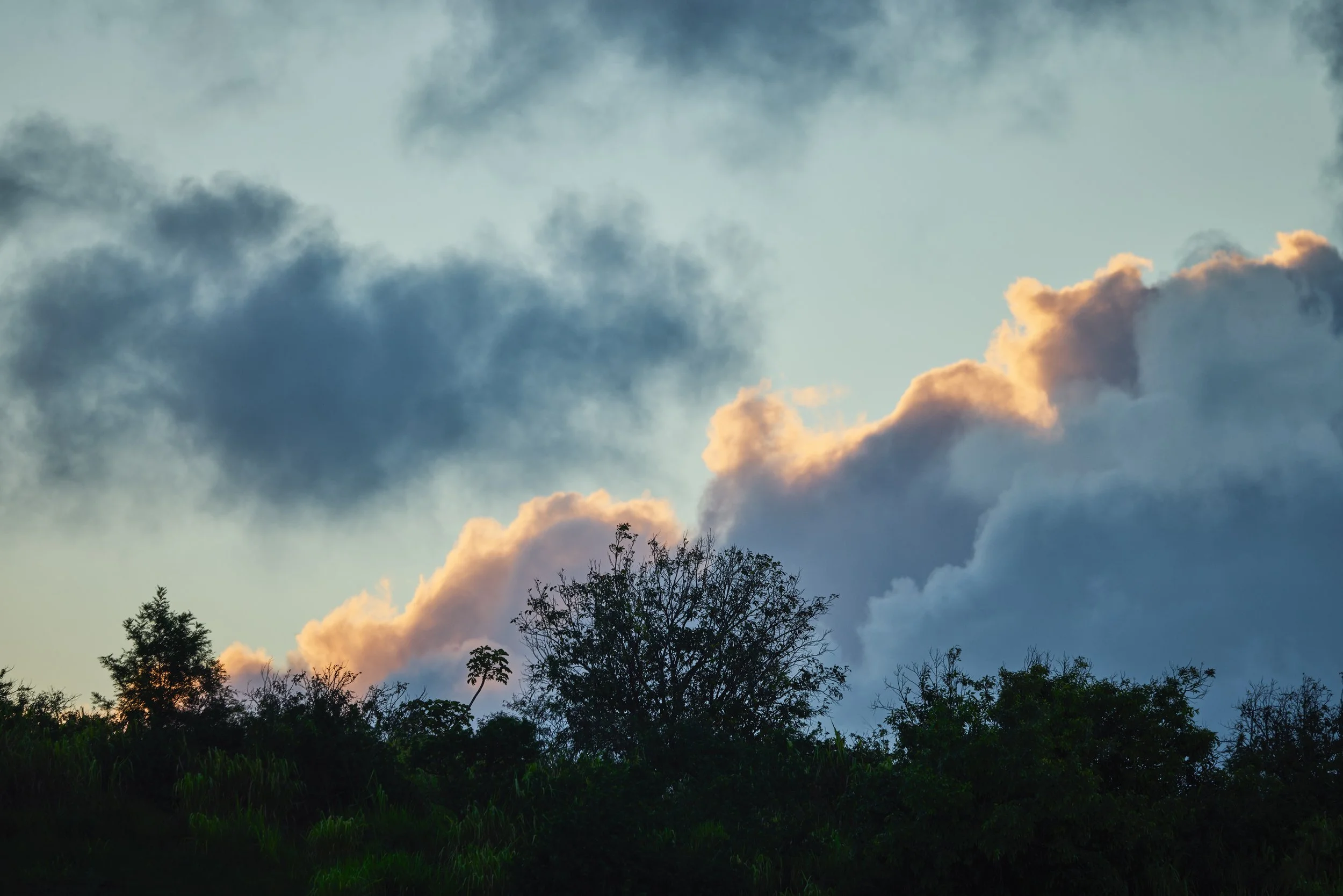 20260729_KUKUIULA_18_STEVEN_LIPPMAN_0750.jpg