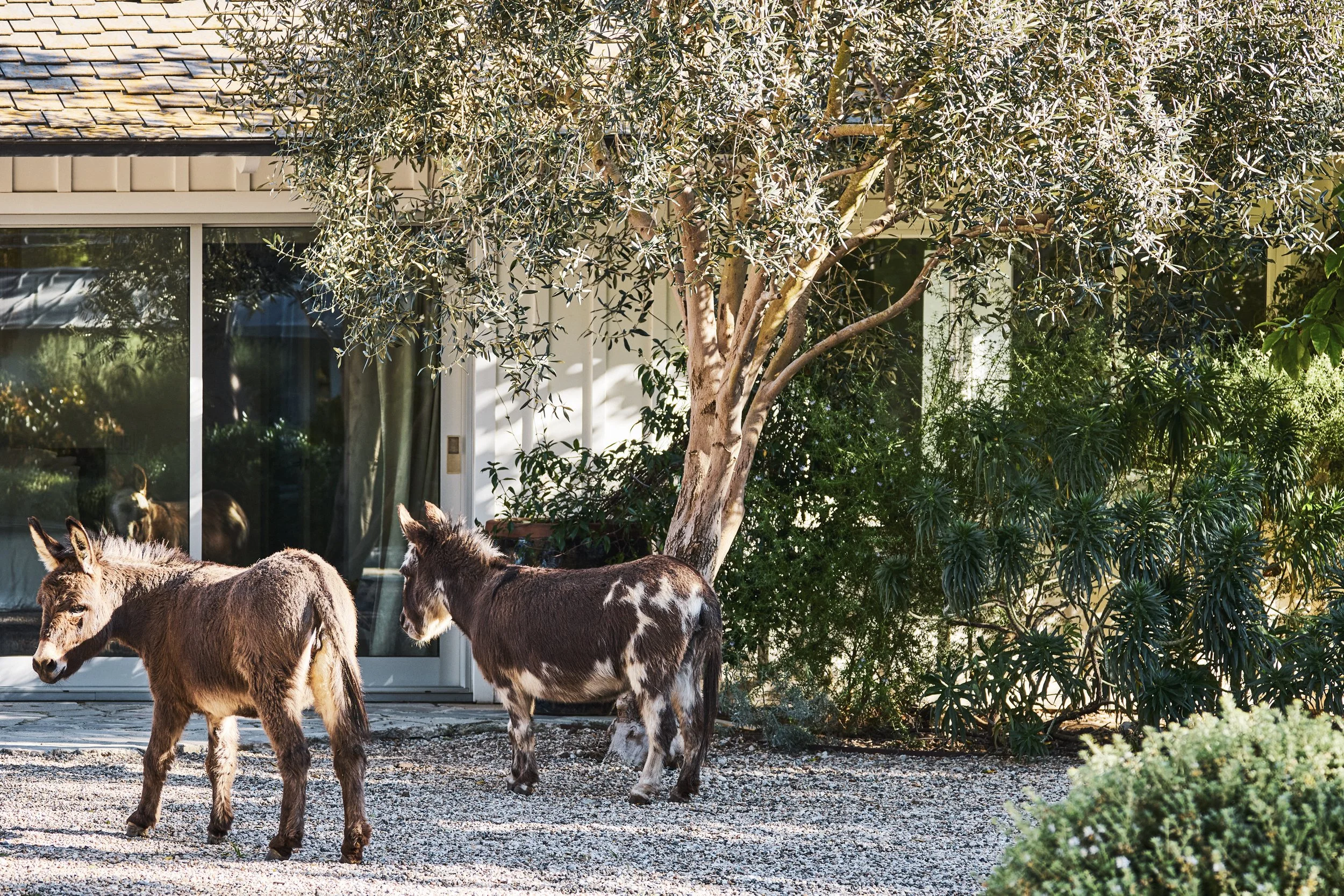 20260204_6715_FERNHILL_STEVEN_LIPPMAN 633.jpg