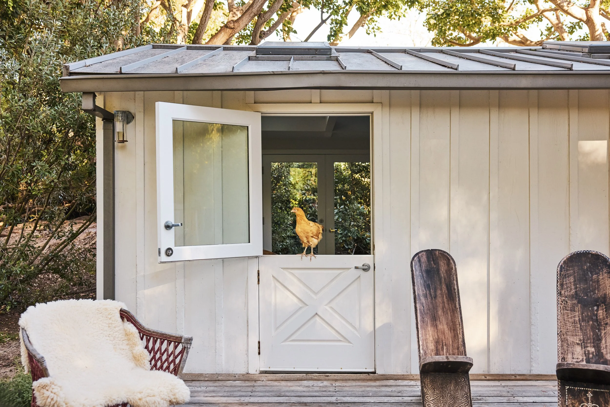 20260204_6715_FERNHILL_STEVEN_LIPPMAN 338.jpg