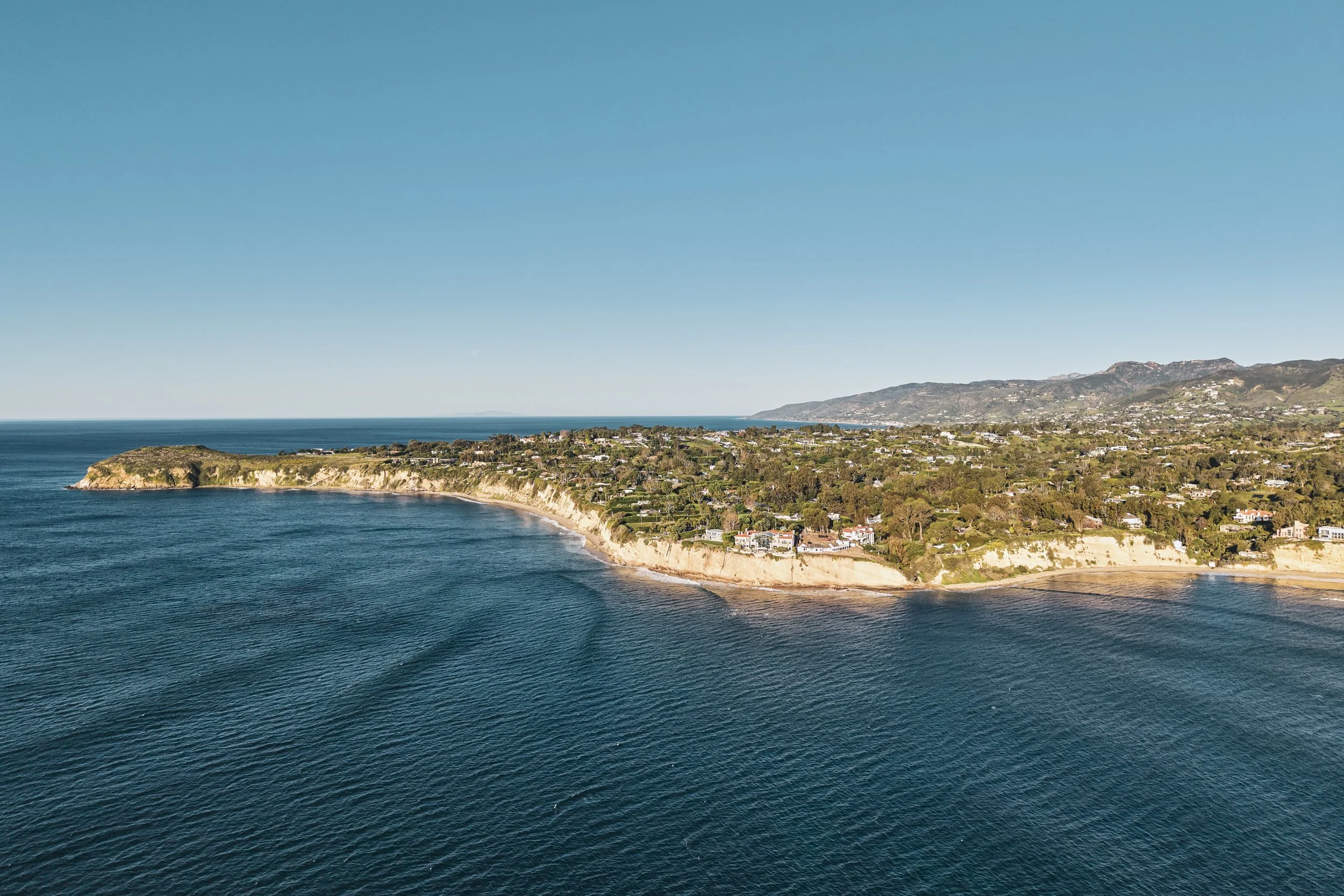 20260204_6715_FERNHILL_STEVEN_LIPPMAN 23.jpg