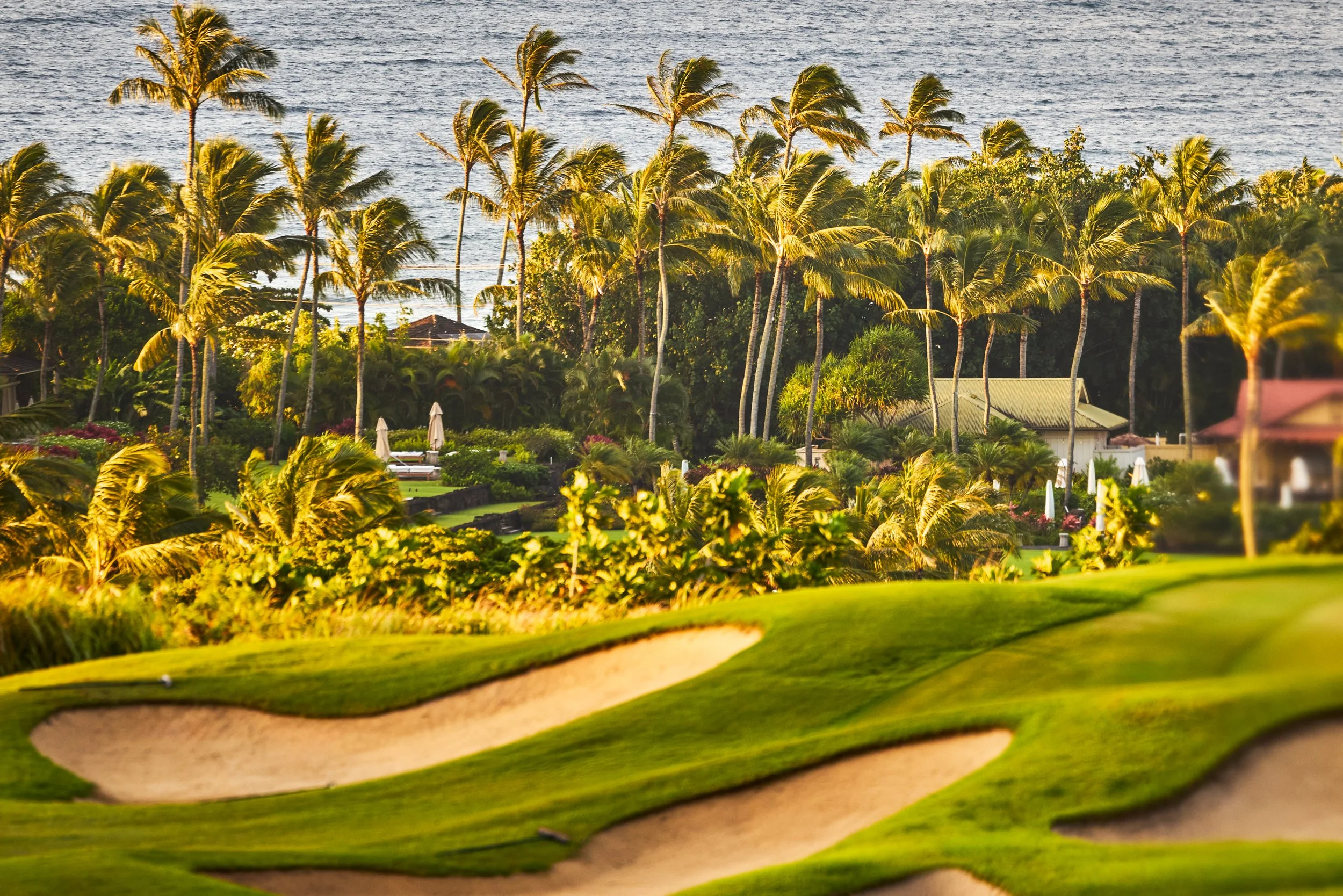 20260731_KUKUIULA_19_STEVEN_LIPPMAN0616.jpg