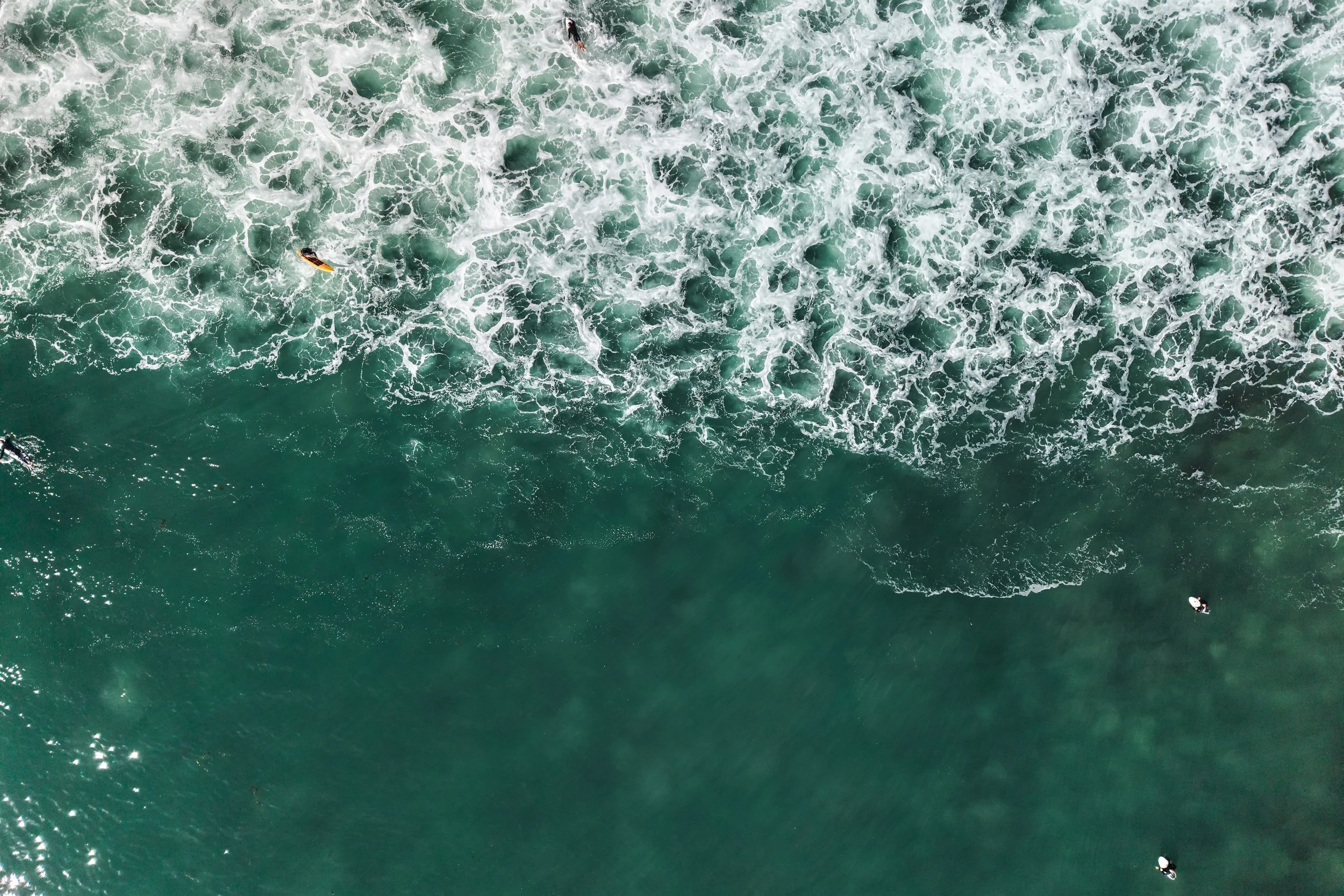 20260317_28830 Hampton Place_STEVEN_LIPPMAN_0343.jpg