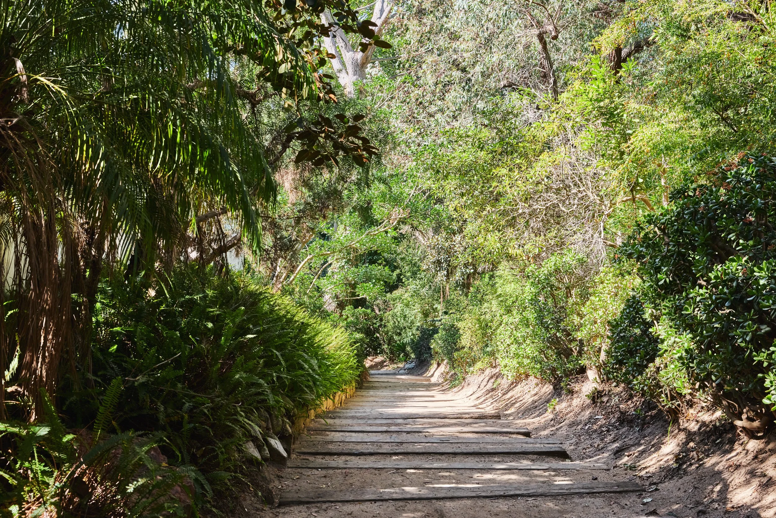 20260317_28830 Hampton Place_STEVEN_LIPPMAN_0194.jpg