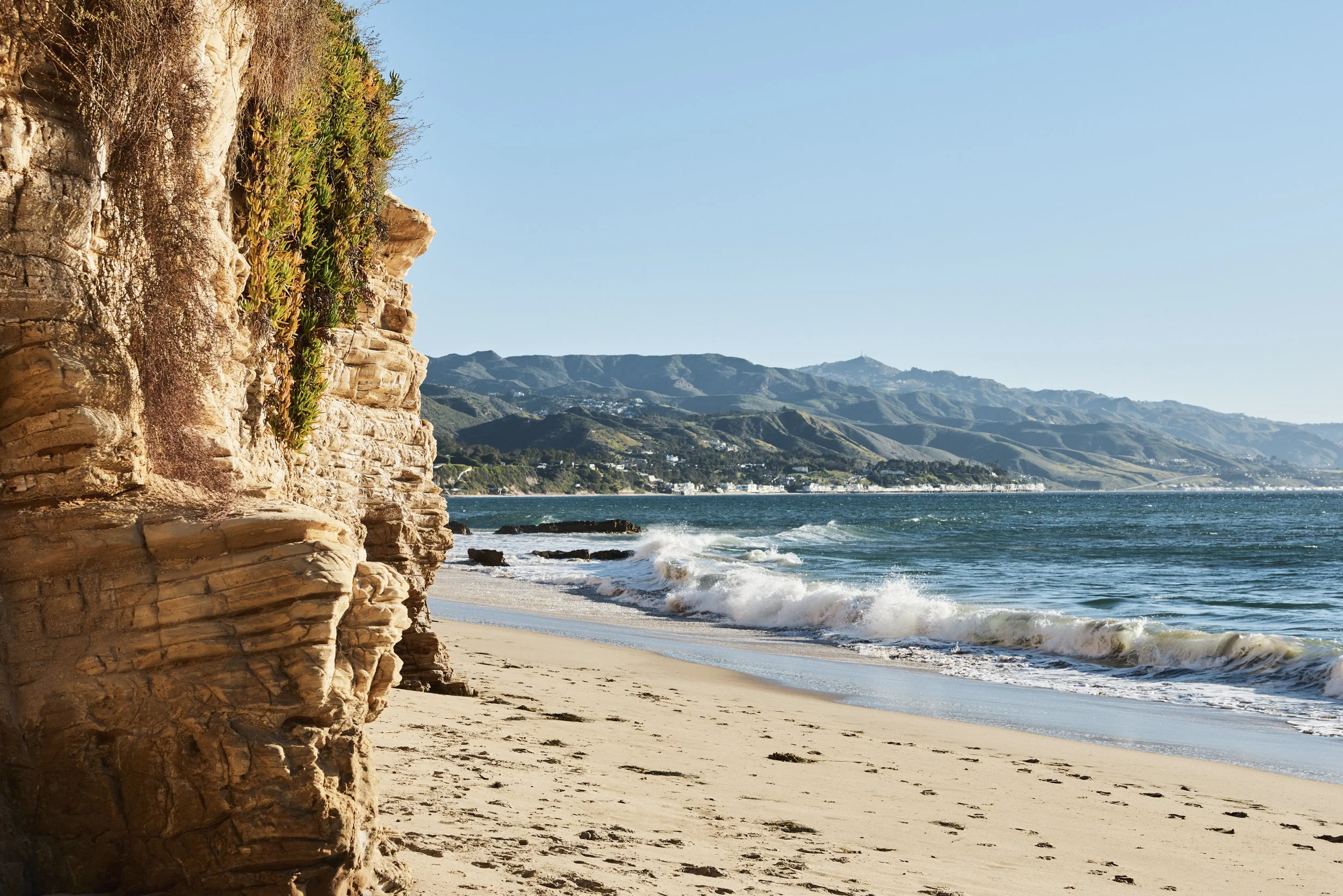 20260204_6715_FERNHILL_STEVEN_LIPPMAN 788.jpg