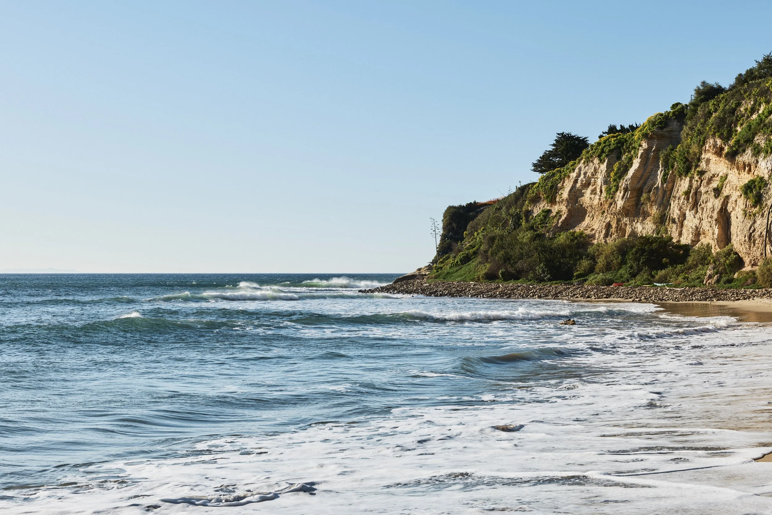 20260204_6715_FERNHILL_STEVEN_LIPPMAN 797.jpg