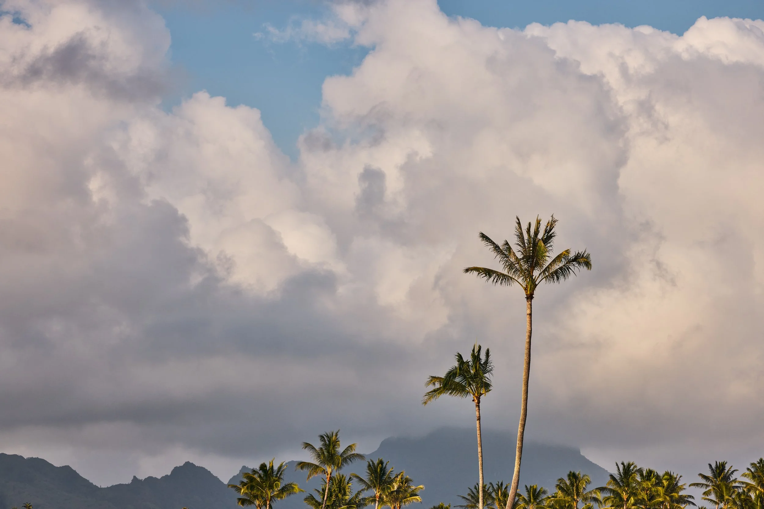 20260729_KUKUIULA_18_STEVEN_LIPPMAN_0593.jpg
