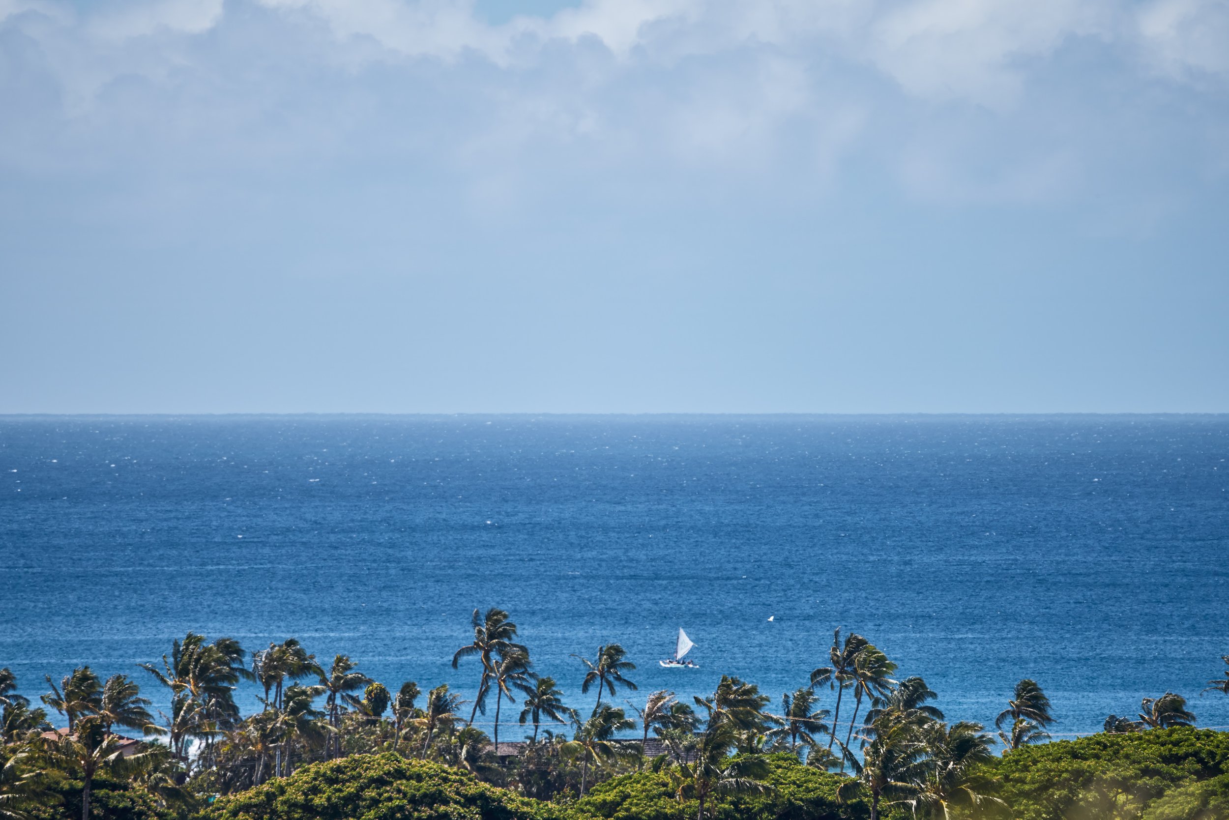 20260729_KUKUIULA_18_STEVEN_LIPPMAN_0747.jpg