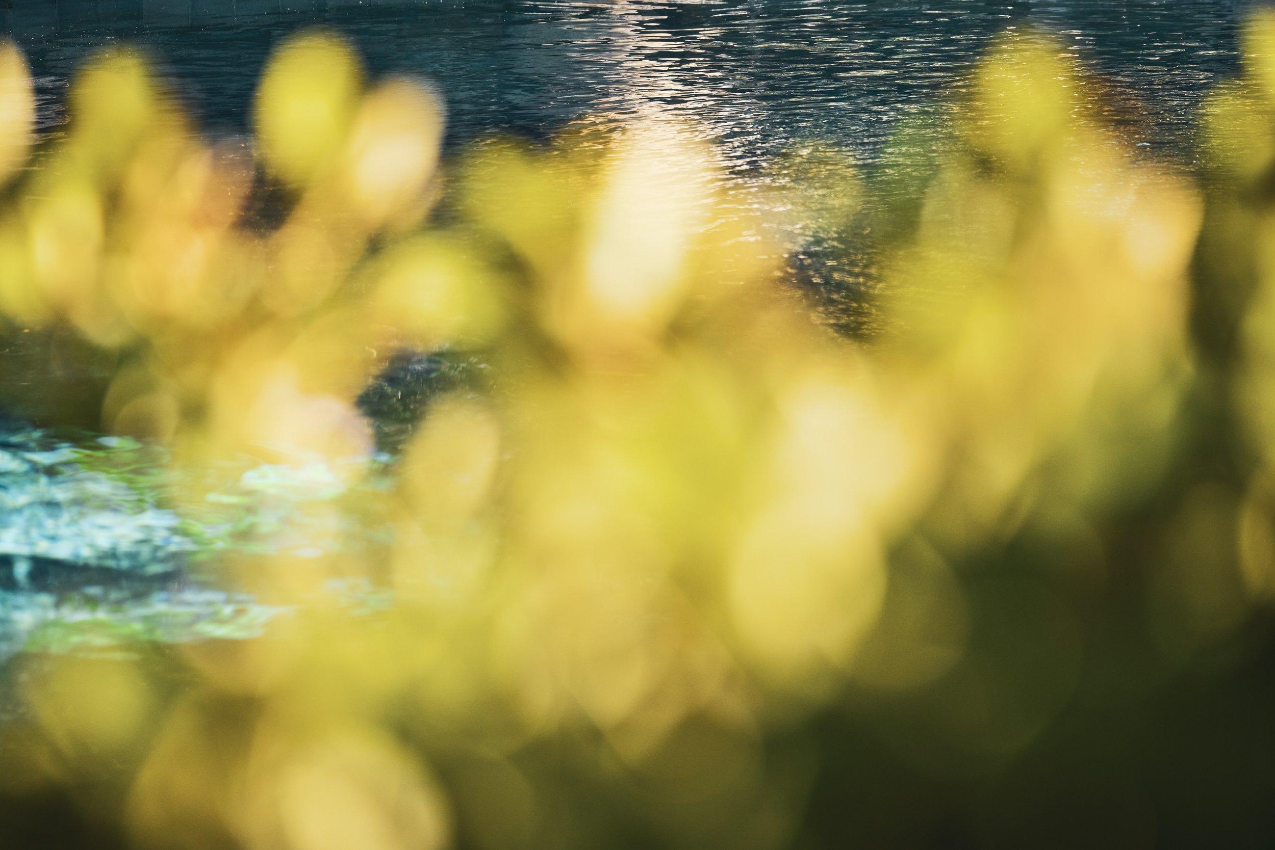 20260204_6715_FERNHILL_STEVEN_LIPPMAN 674.jpg