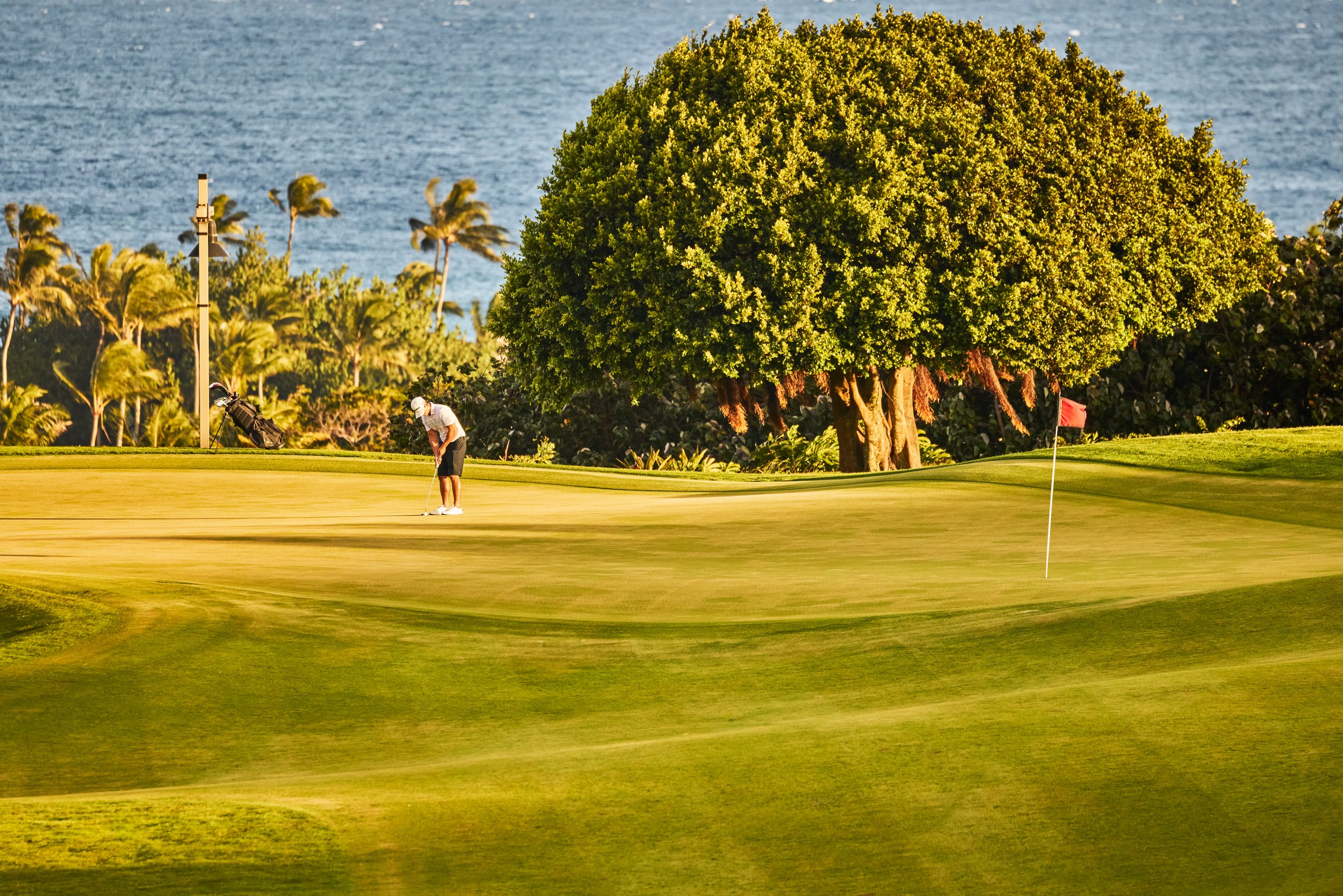20260731_KUKUIULA_19_STEVEN_LIPPMAN0341.jpg