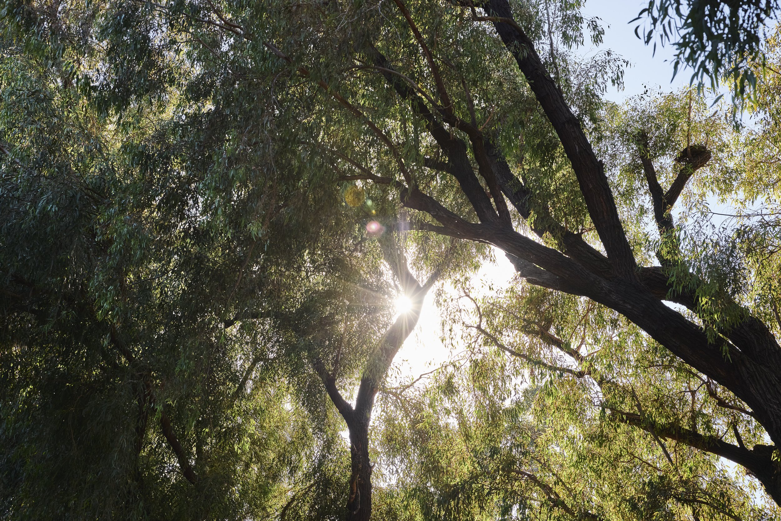 20260204_6715_FERNHILL_STEVEN_LIPPMAN 250.jpg