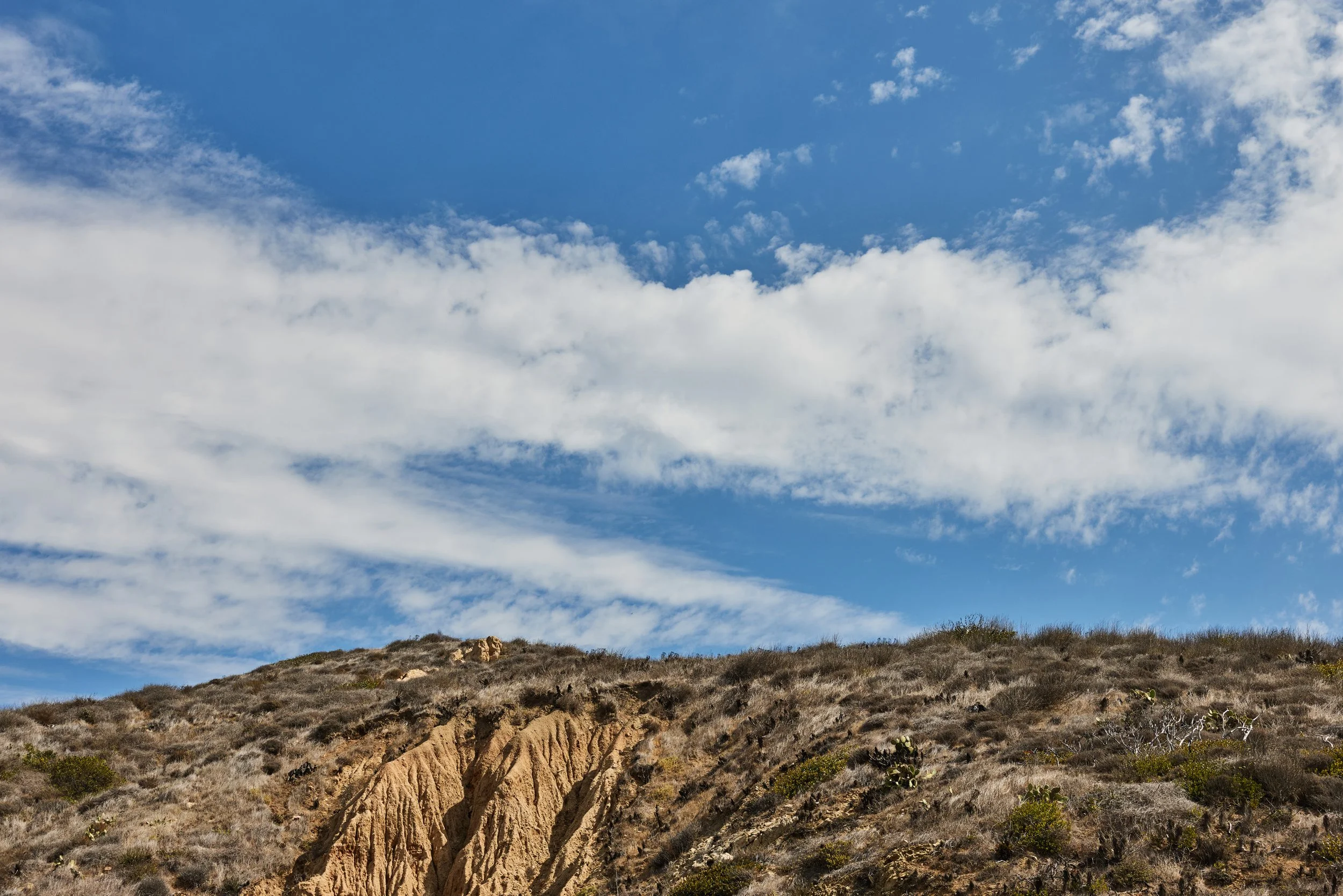 20250917_42750_E_PCH_MALIBU_STEVENLIPPMAN_-28.jpg