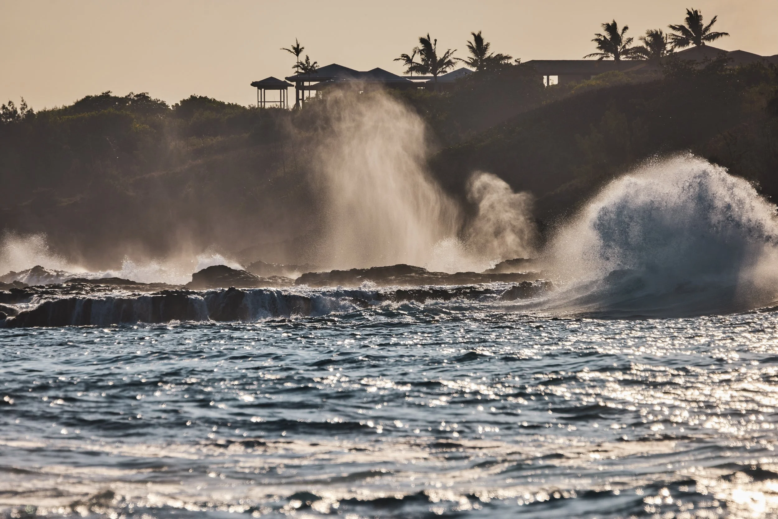 20260729_KUKUIULA_18_STEVEN_LIPPMAN_0431.jpg
