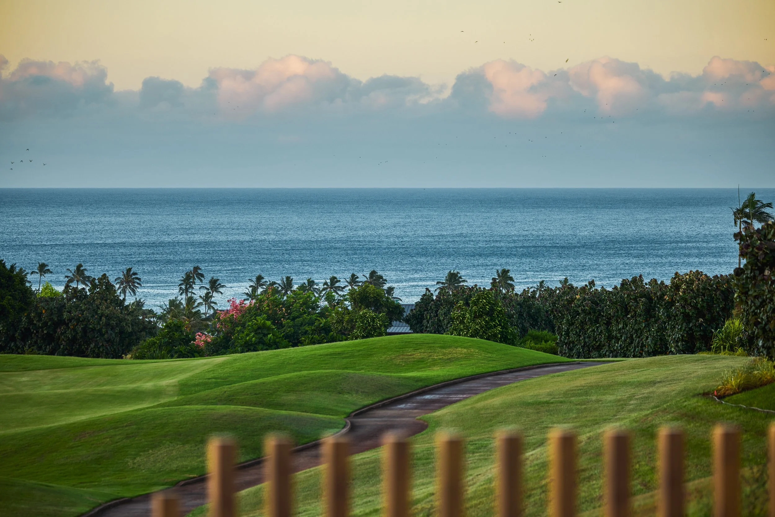 20260729_KUKUIULA_18_STEVEN_LIPPMAN_0764.jpg