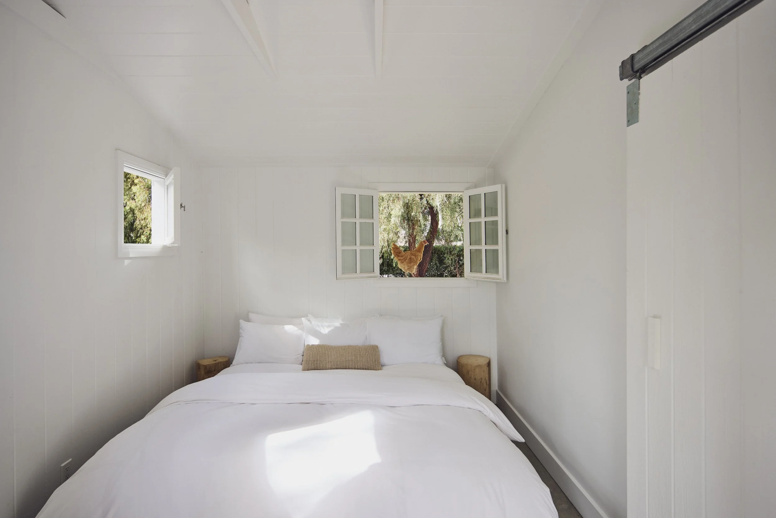 20260204_6715_FERNHILL_STEVEN_LIPPMAN 740-2.jpg