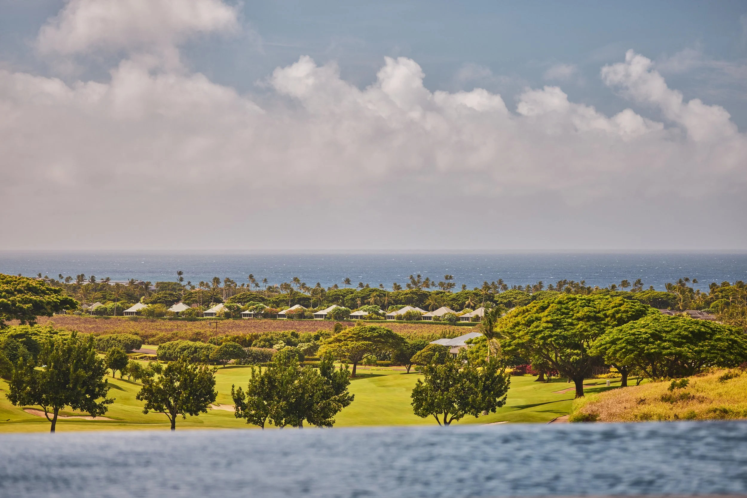 20260731_KUKUIULA_19_STEVEN_LIPPMAN0193.jpg