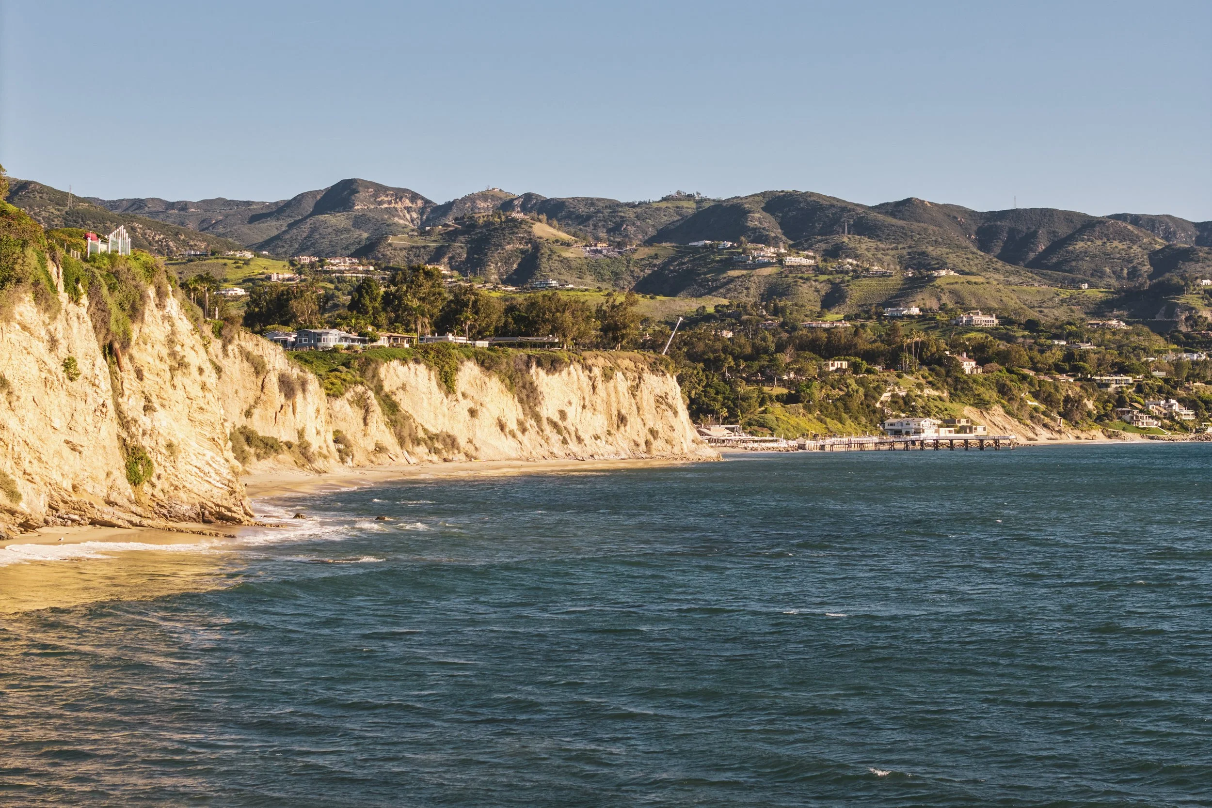 20260204_6715_FERNHILL_STEVEN_LIPPMAN 92.jpg