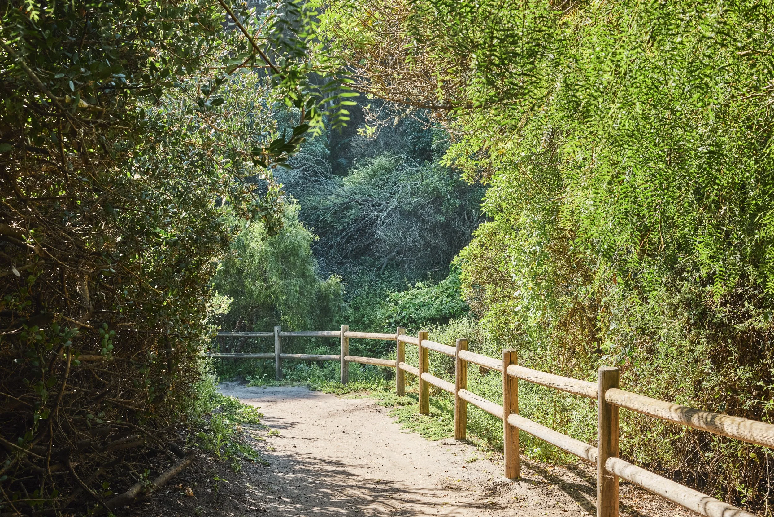 20260317_28830 Hampton Place_STEVEN_LIPPMAN_0199.jpg